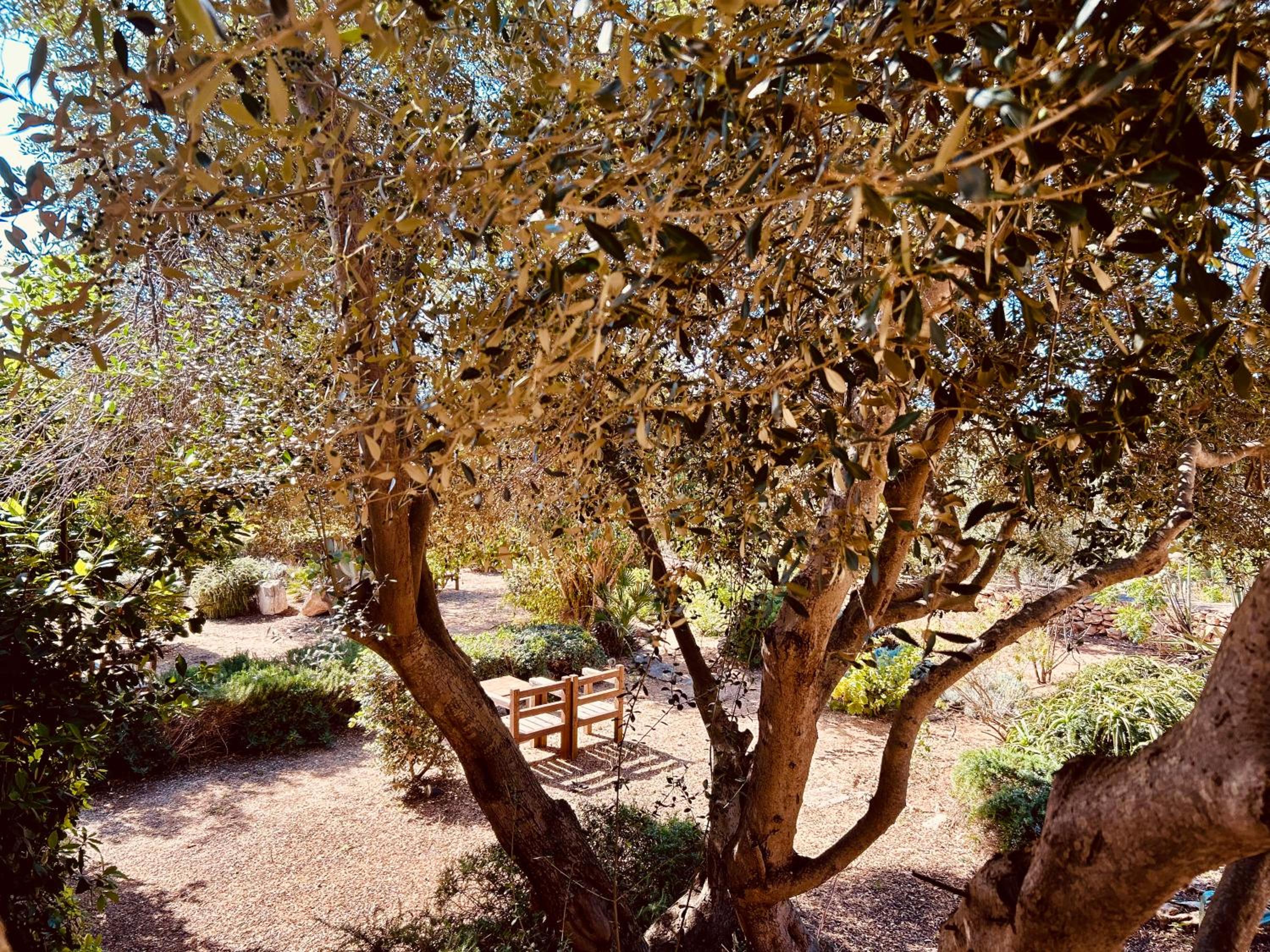 Photo 45