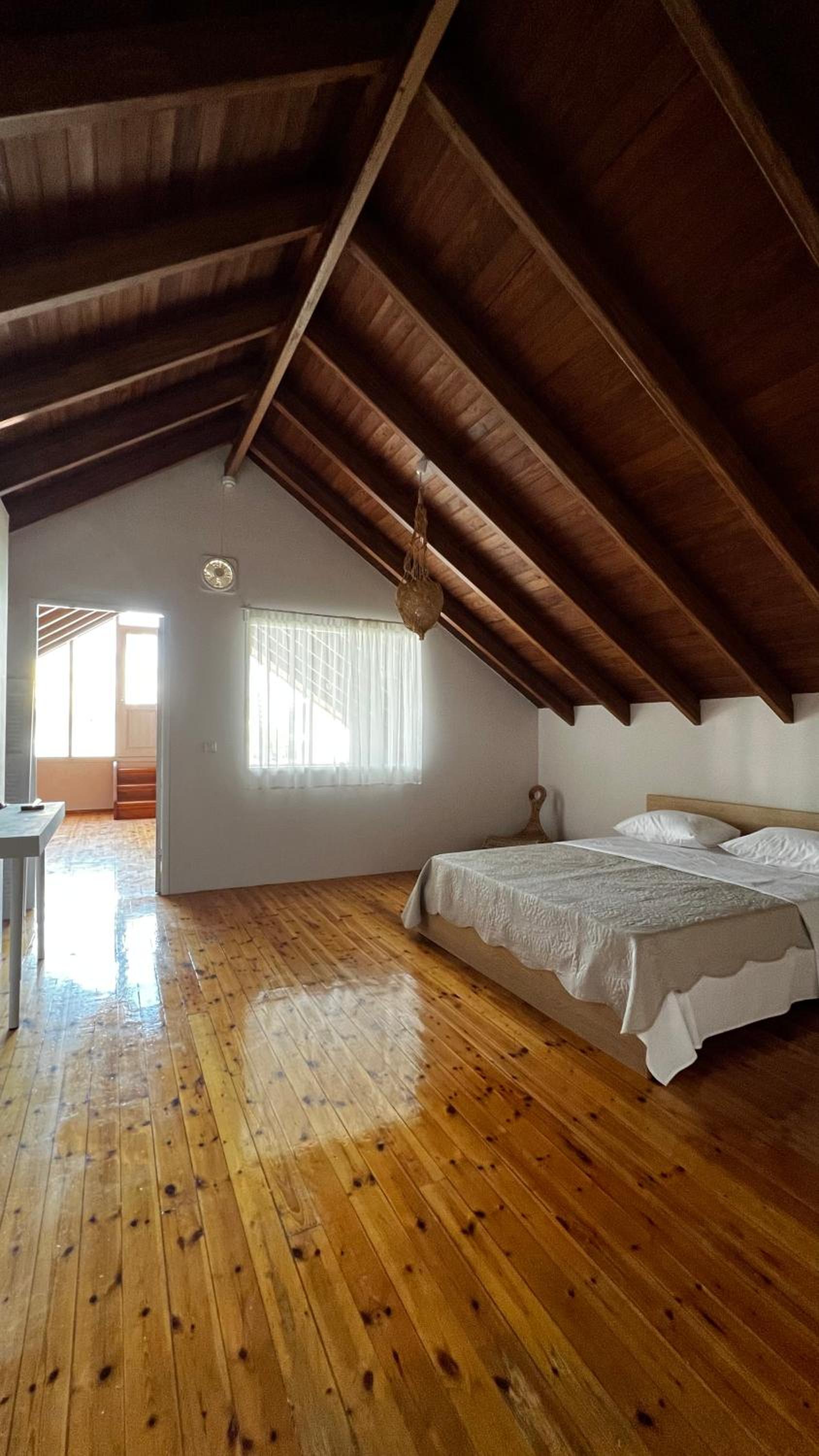 Alexandros suite