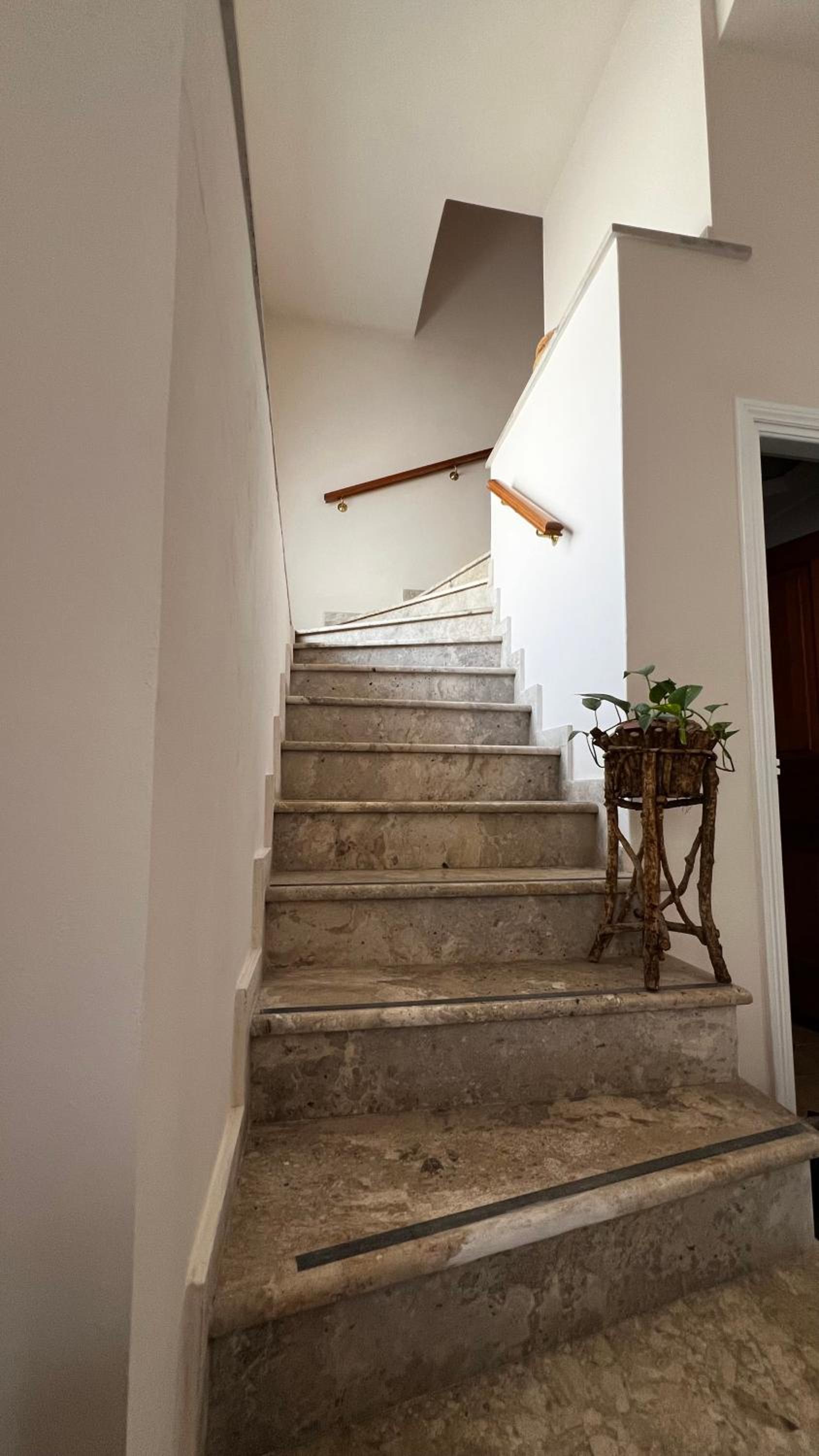 Alexandros suite