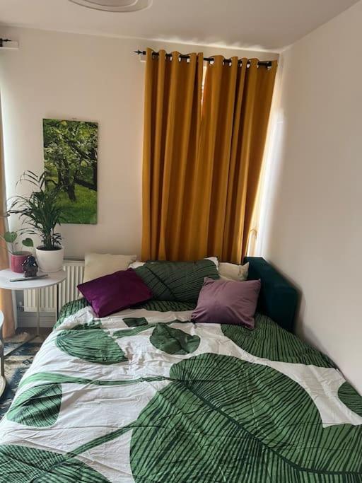 Cosy and peaceful studio flat view 4