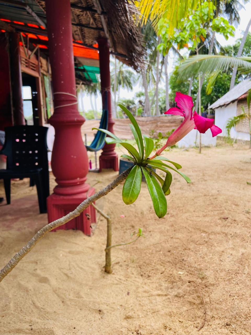 Riverpark Guesthouse Arugambay