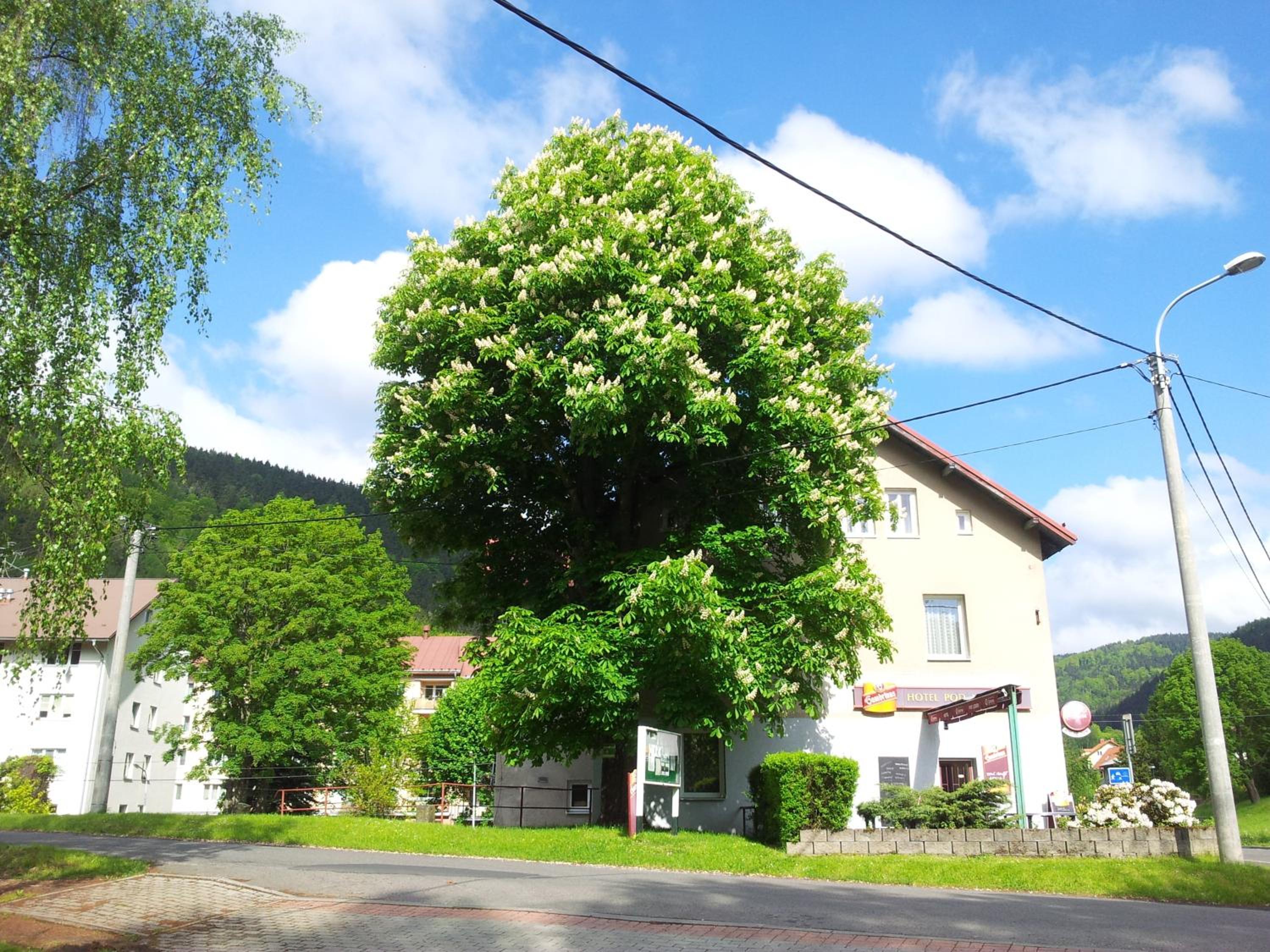 Guest House Pod Lesem Merklín