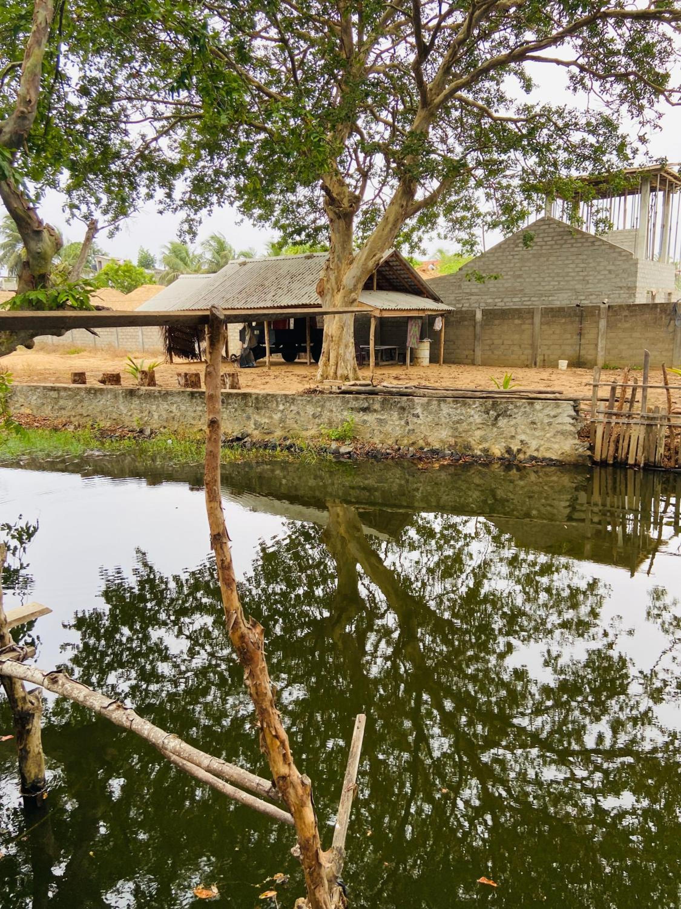 Riverpark Guesthouse Arugambay