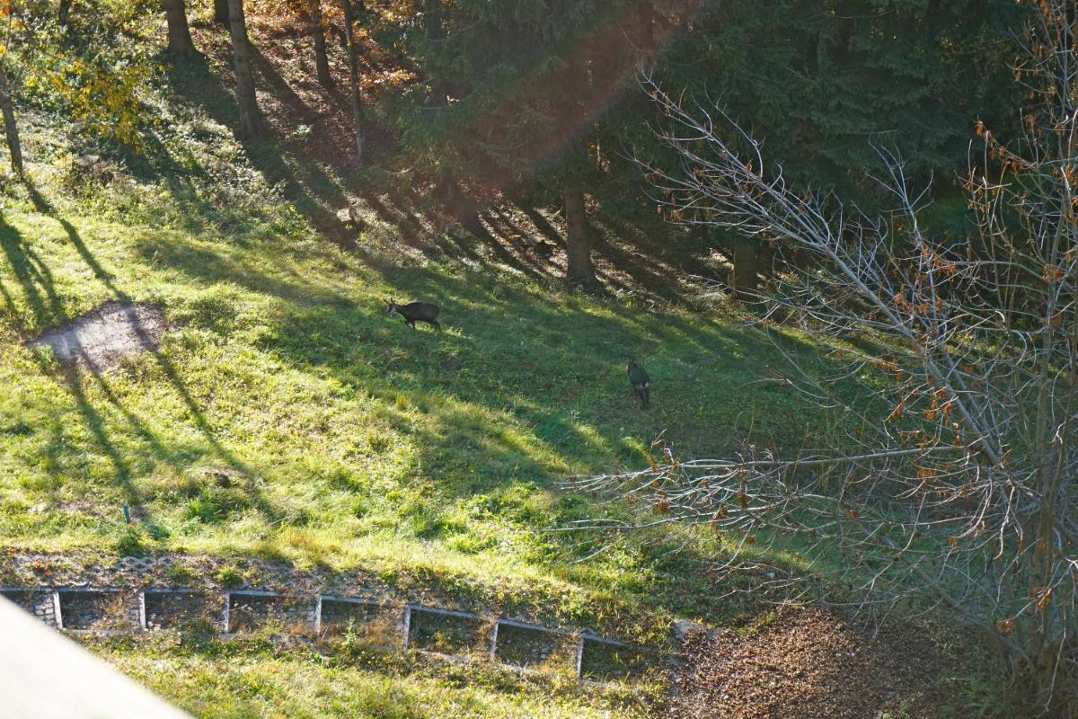 Domaine de La Croix de Javernaz