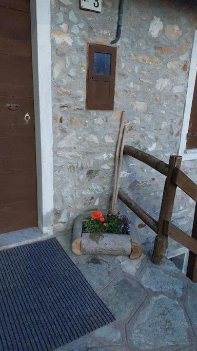 Photo 32