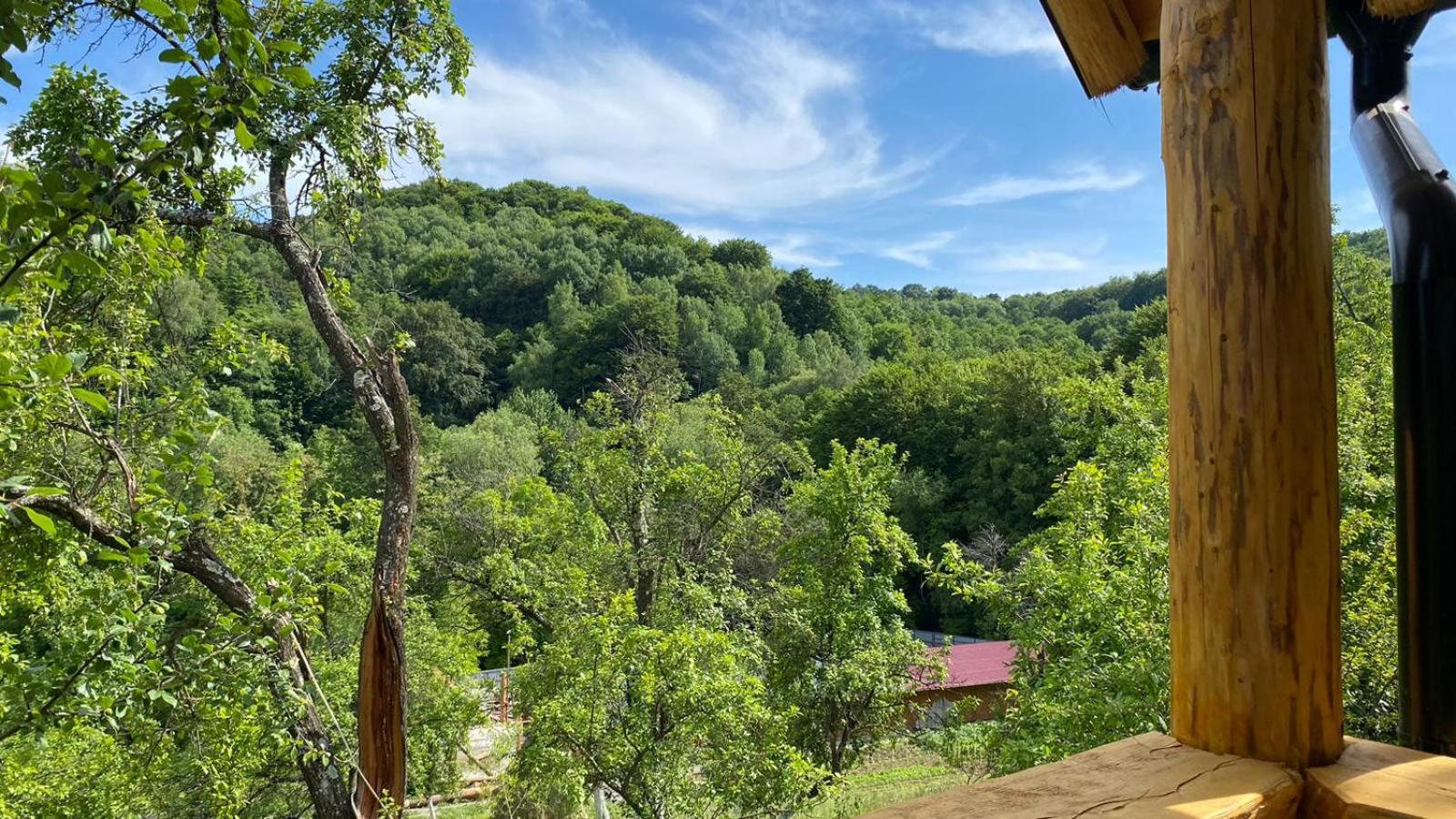 Casa Bunicilor Traditionala view 4
