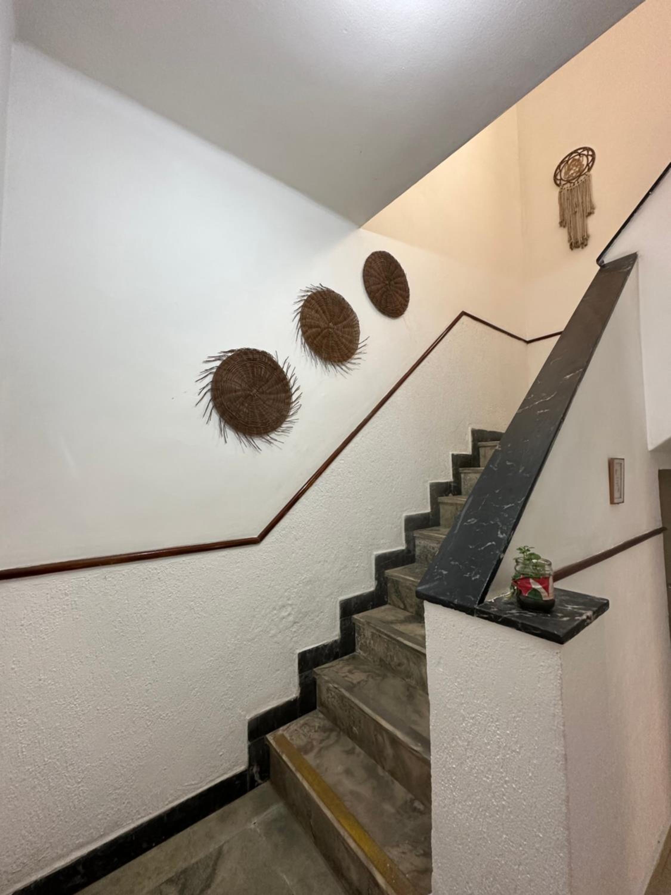 Hostel Casinha Tropical