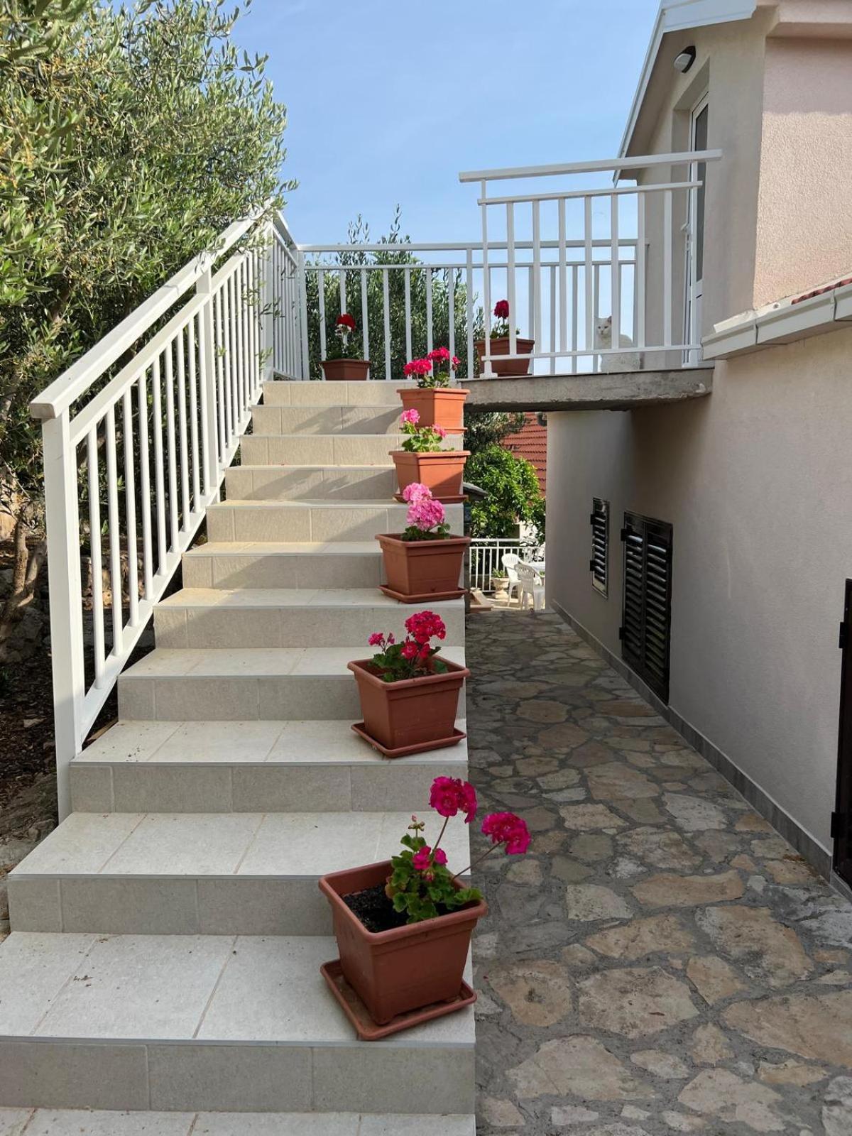 Meerblick mit Traumterrasse