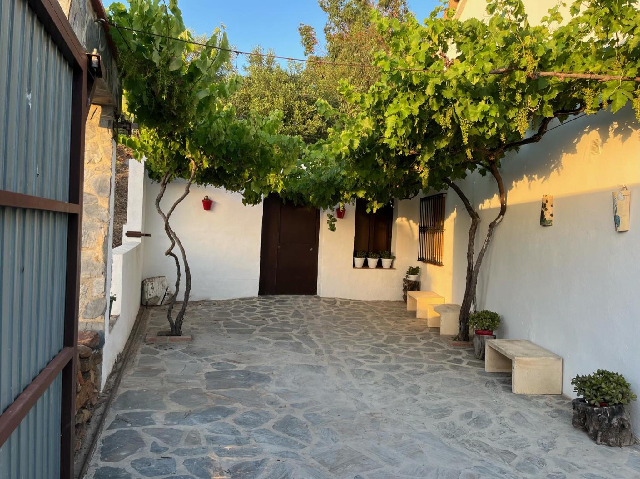La Bodeguilla del Conde
