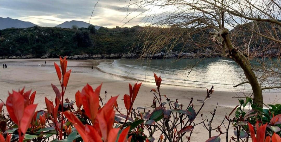 Villa Garcia Llanes Spa Bricia