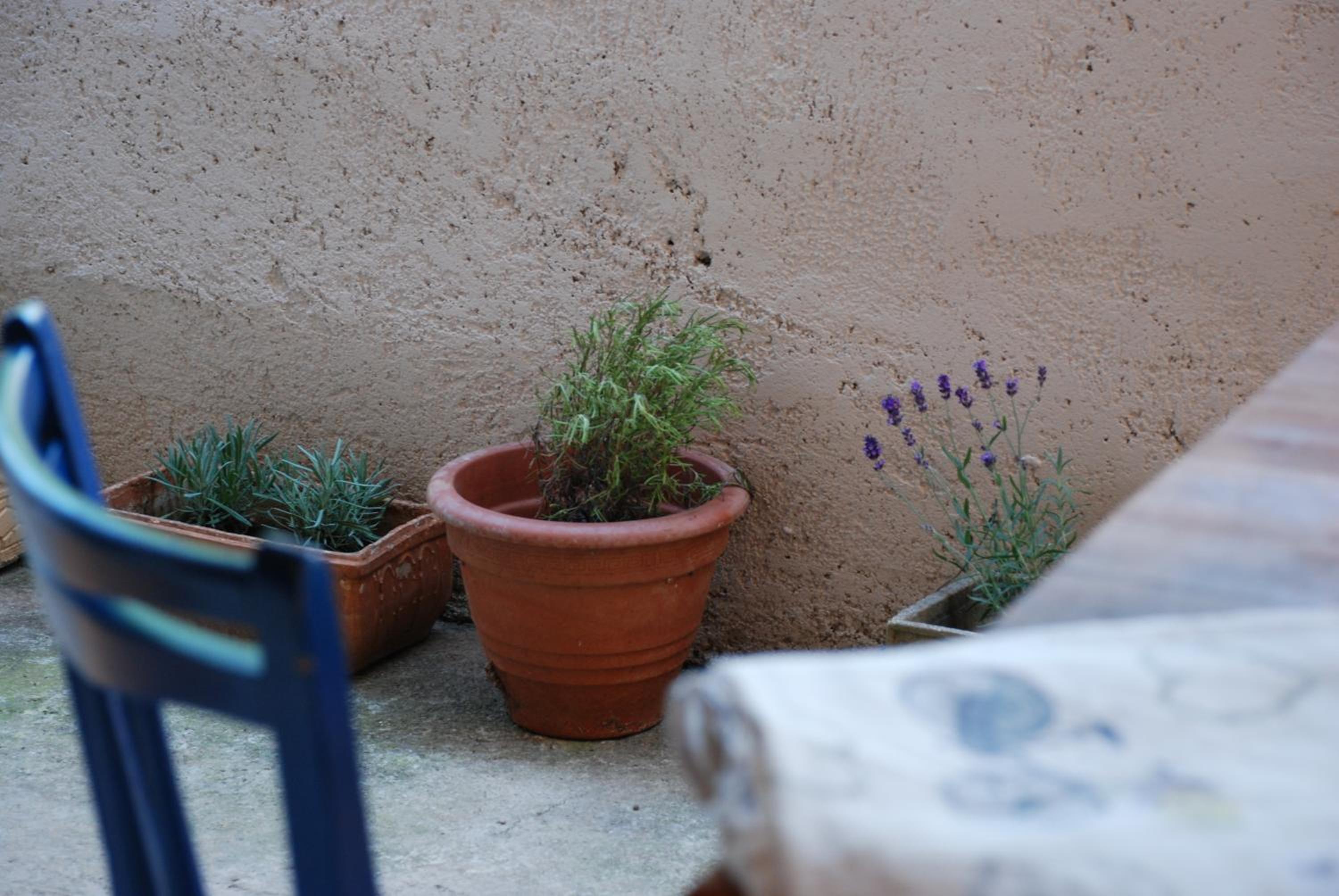 Mediteranean Home