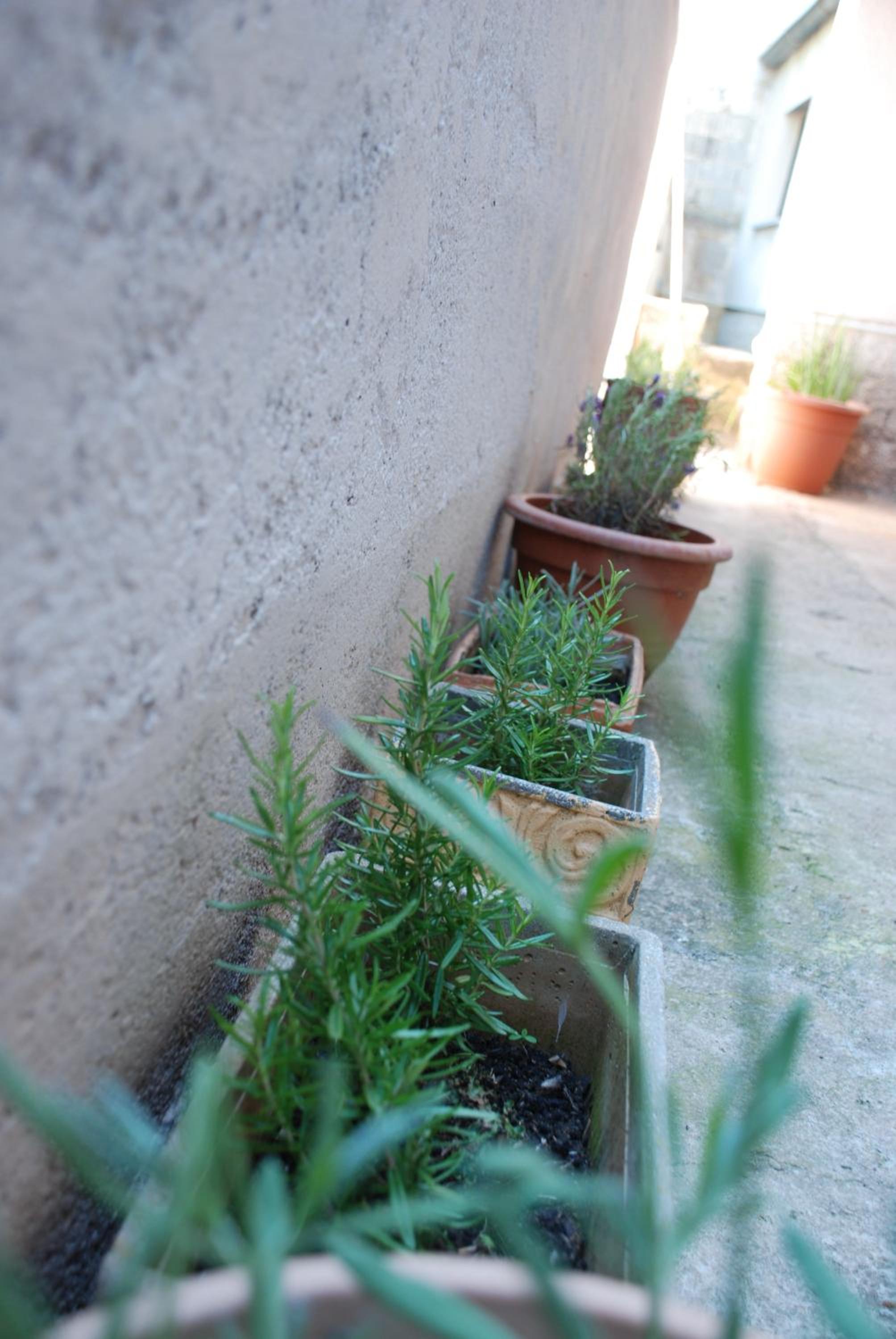 Mediteranean Home