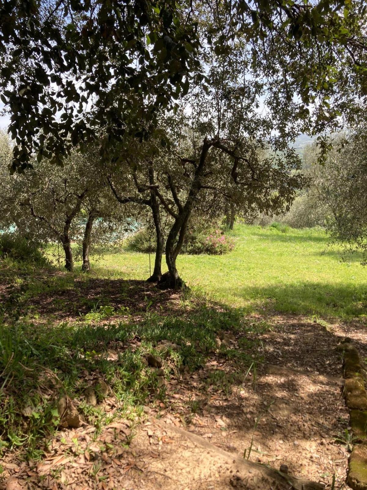 Il Paradiso villa in Valdichiana view 3
