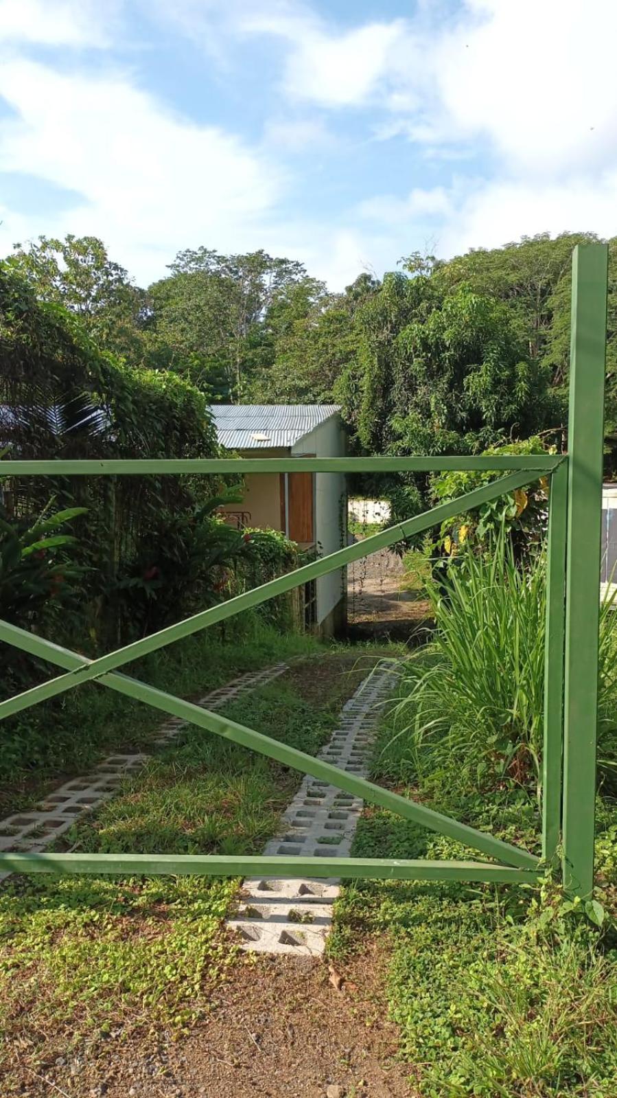 Mango house