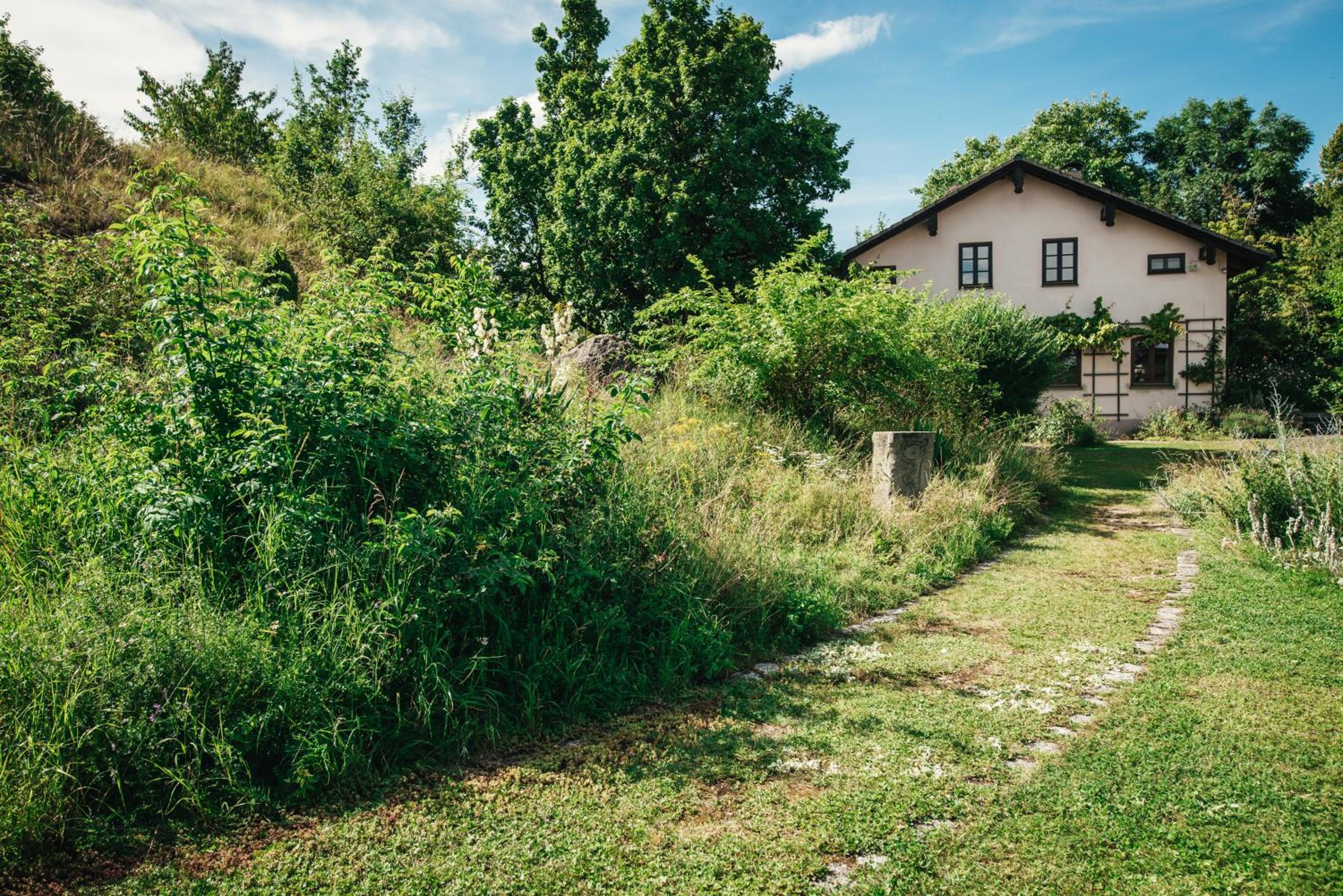 Haus Archaeopteryx – privater Außen-Pool – einzigartig im Naturpark