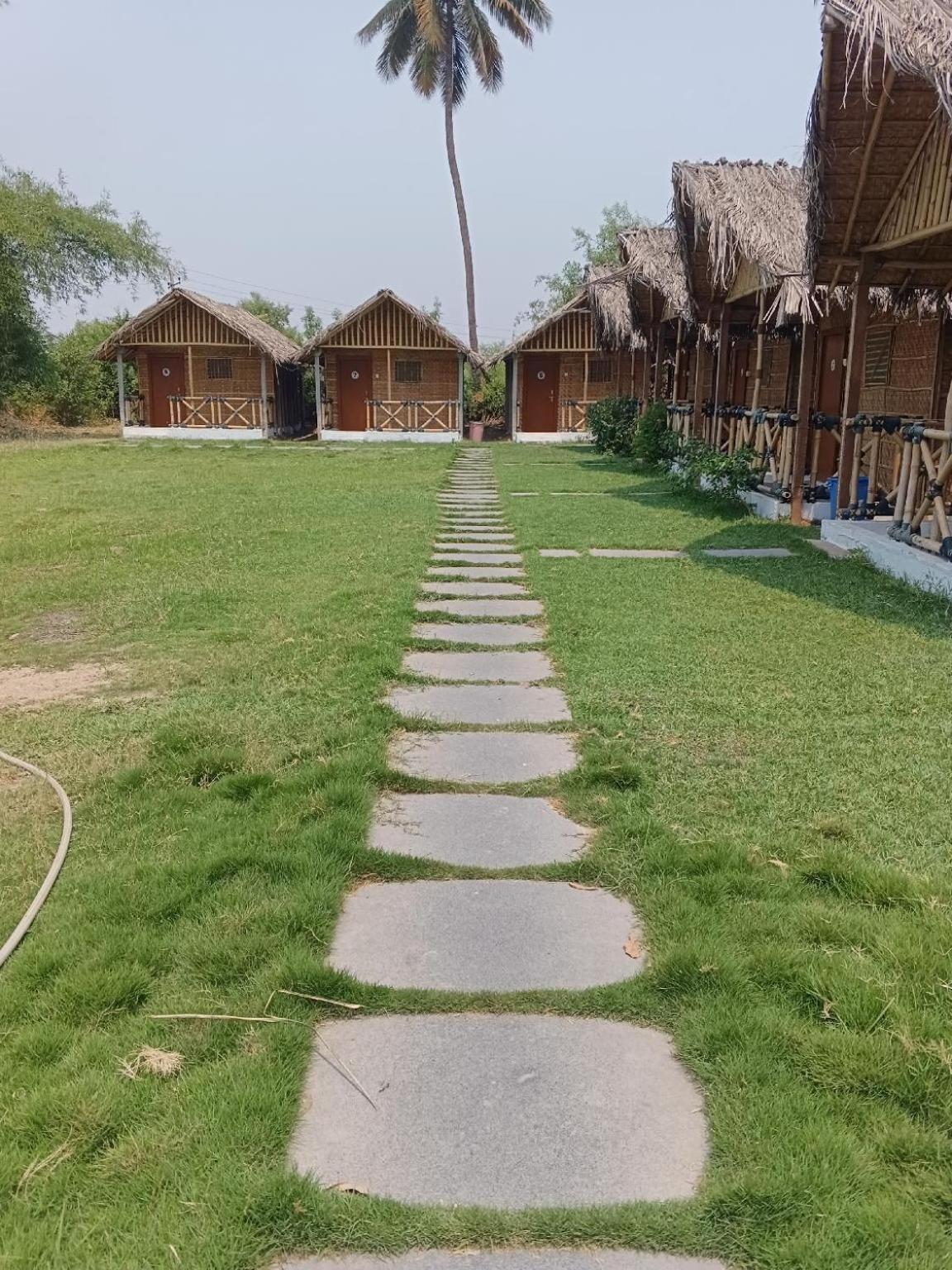 coconut tree guest house view 2