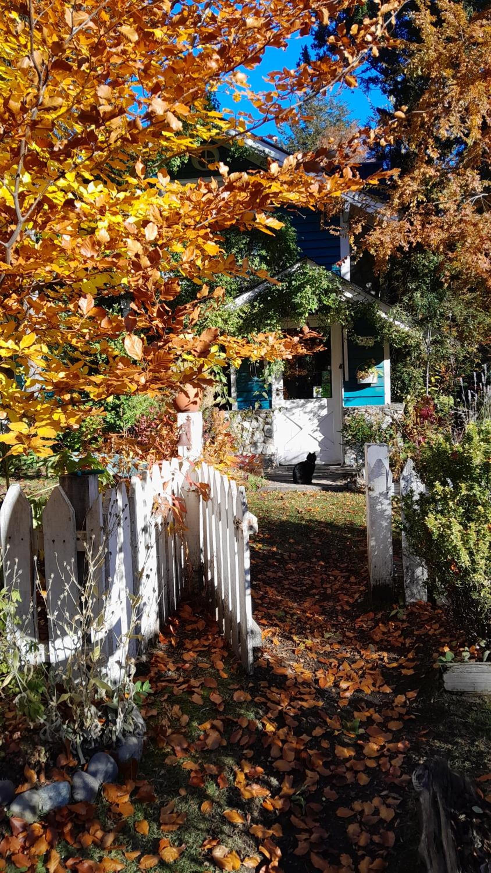 Dodo House Bed & Breakfast