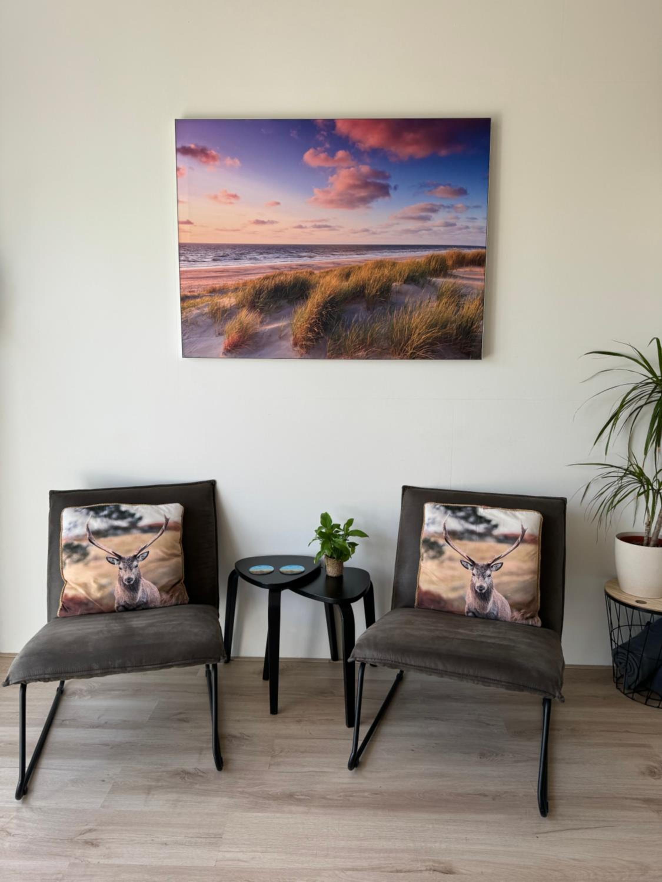 Studio Duinroos