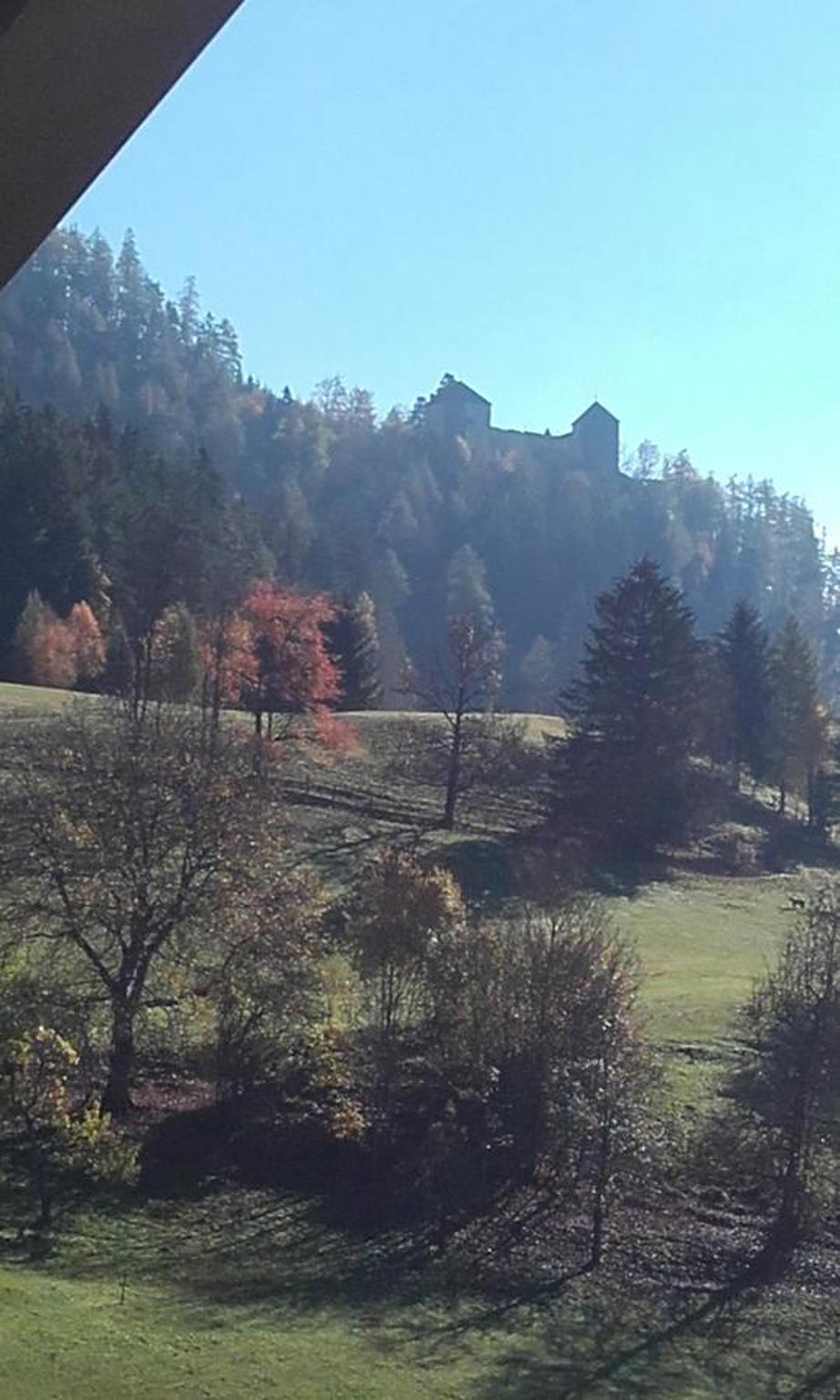 Gasthof Hubertus view 5