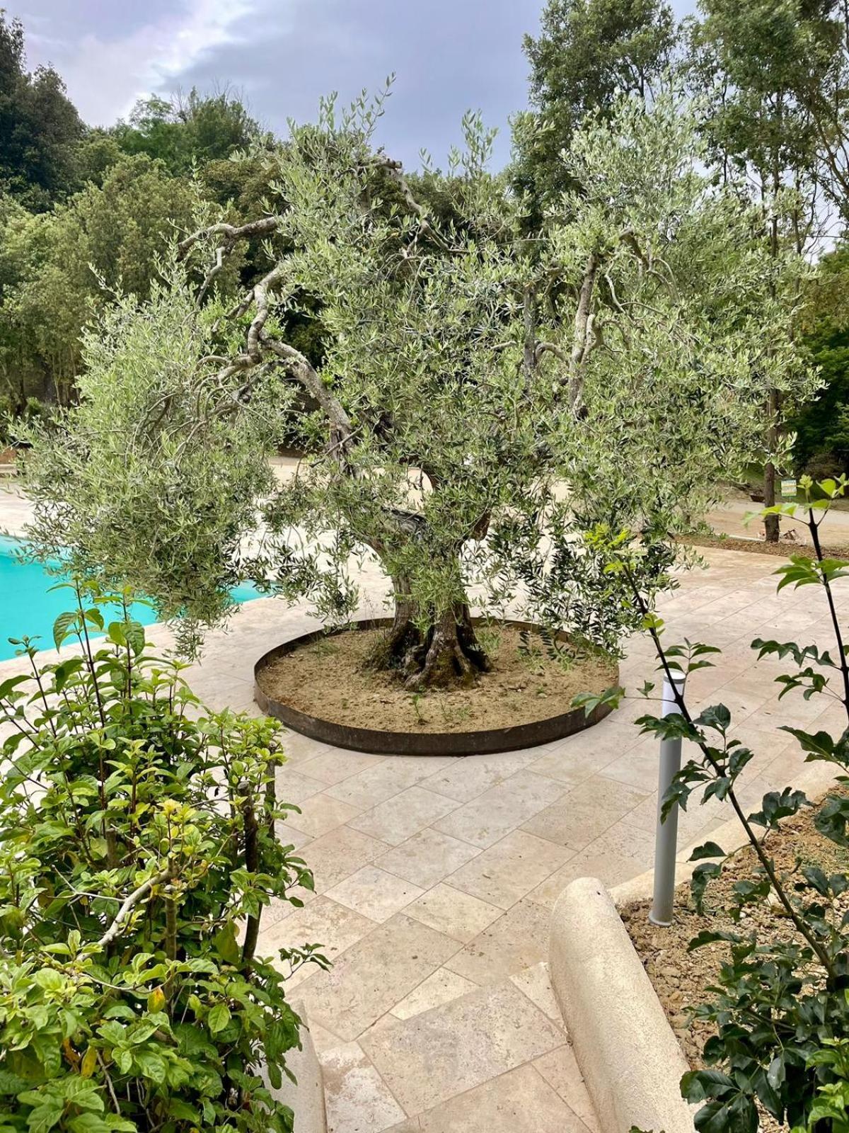 Casina di Adele apartment view 5