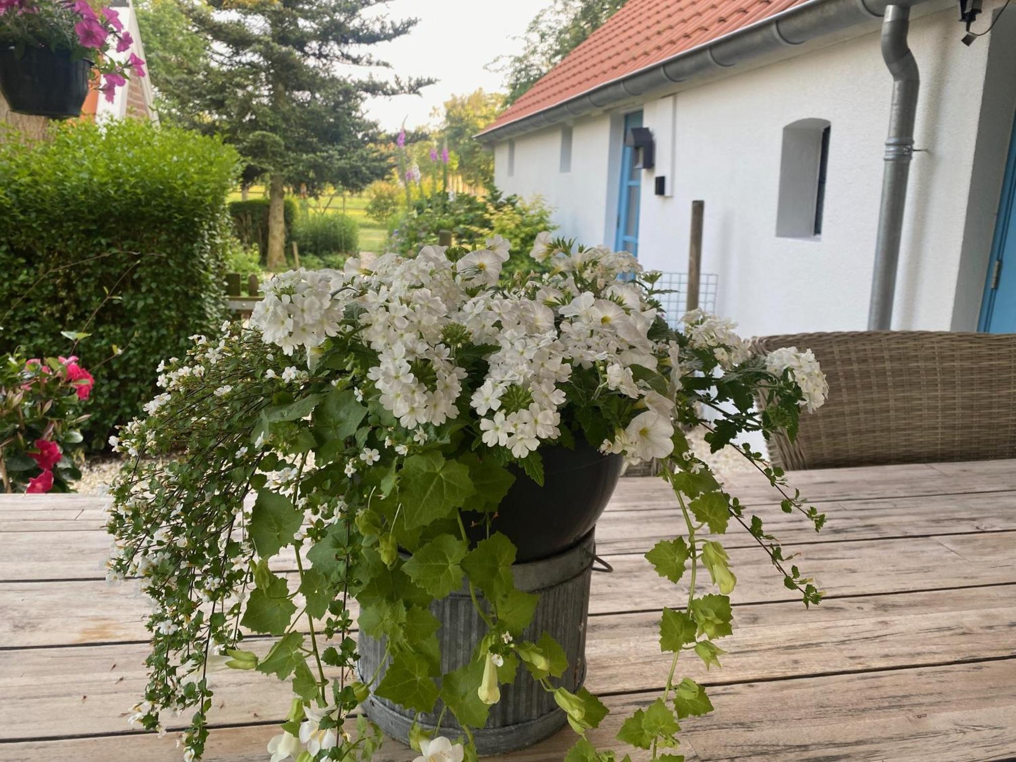 B&B Vinkeling