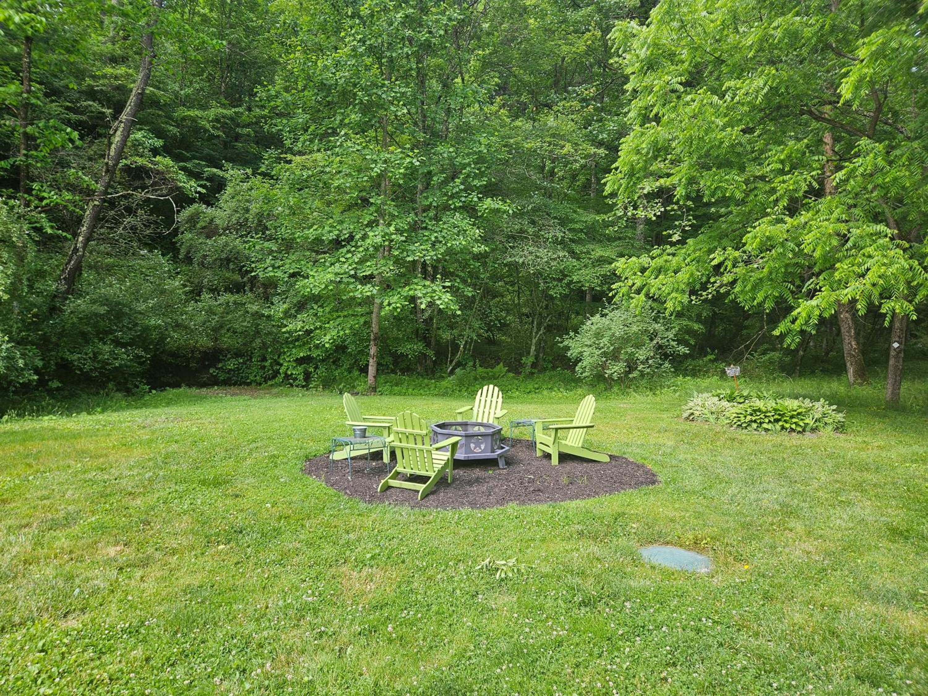 Photo 46