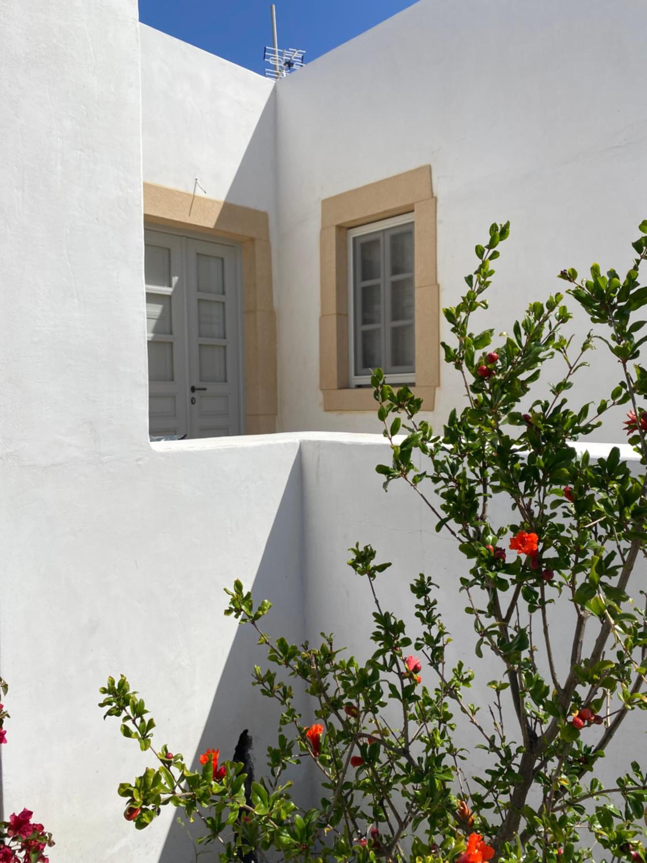 Villa Palmosa