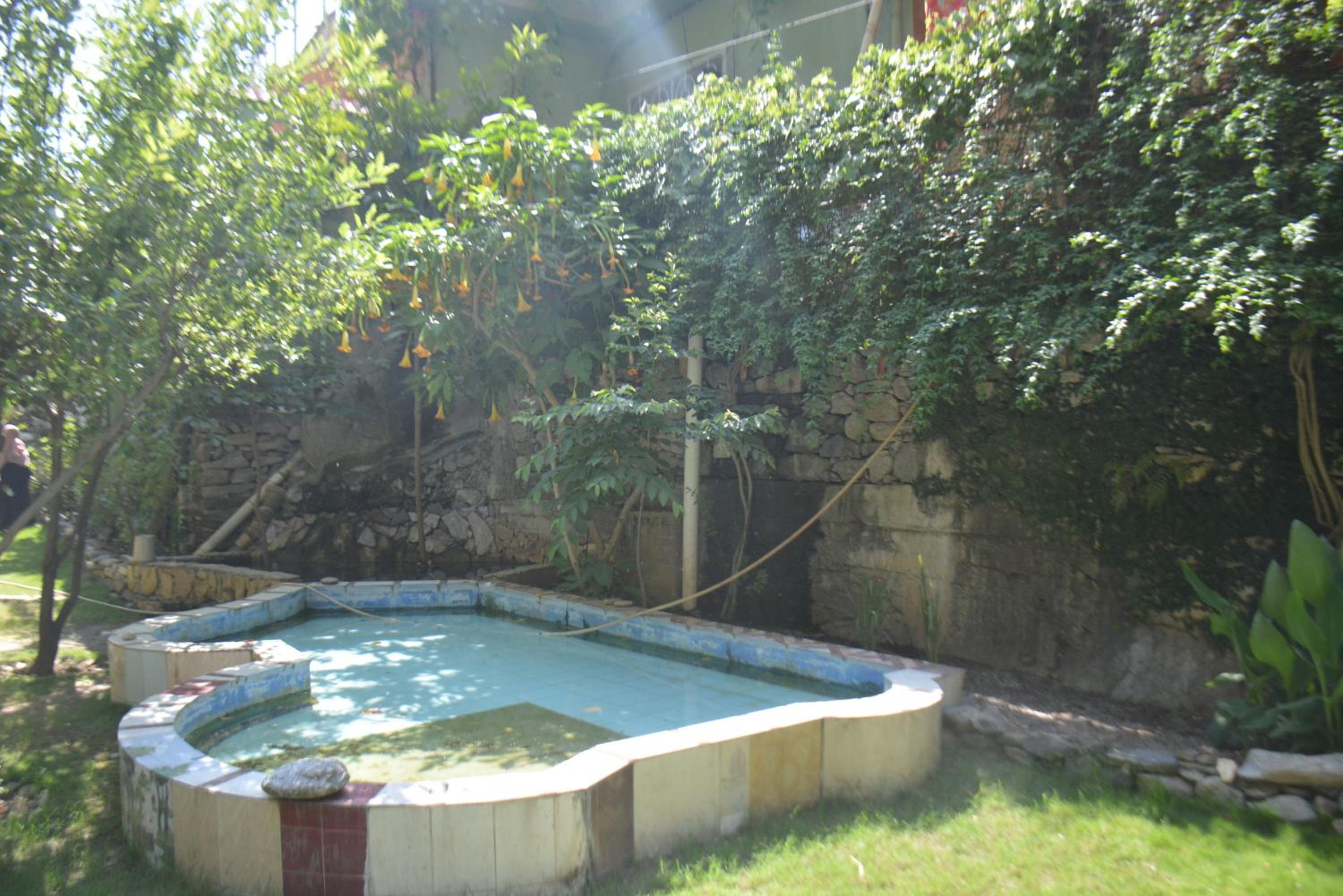 Photo 36