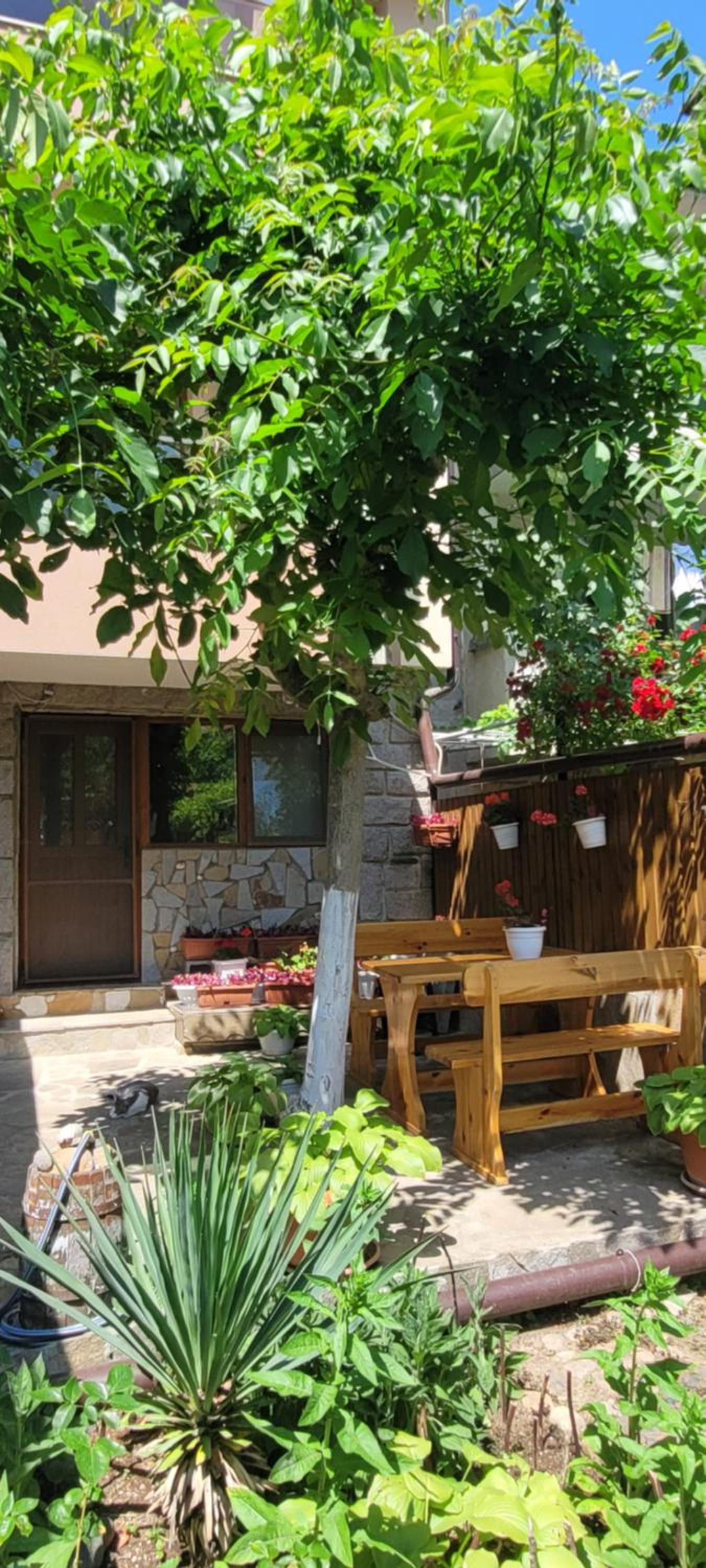 Vila Mihnevi