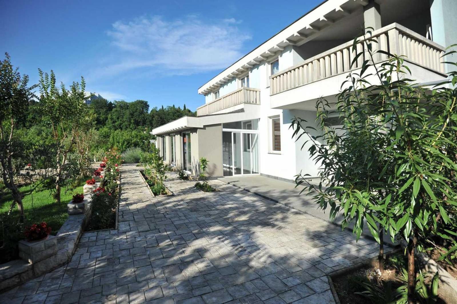 Pool House Maslina