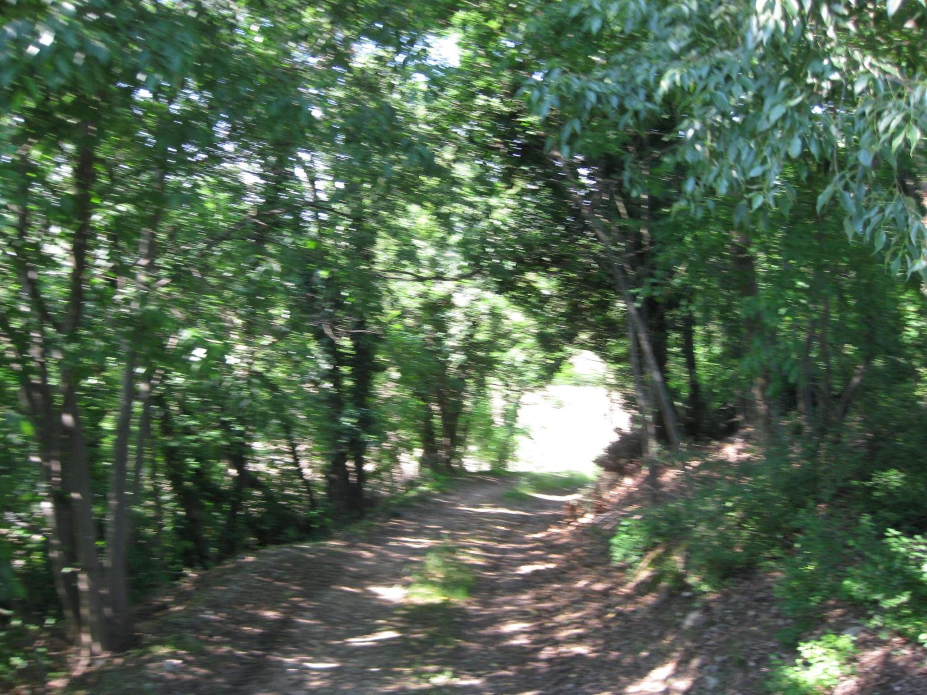 Photo 52