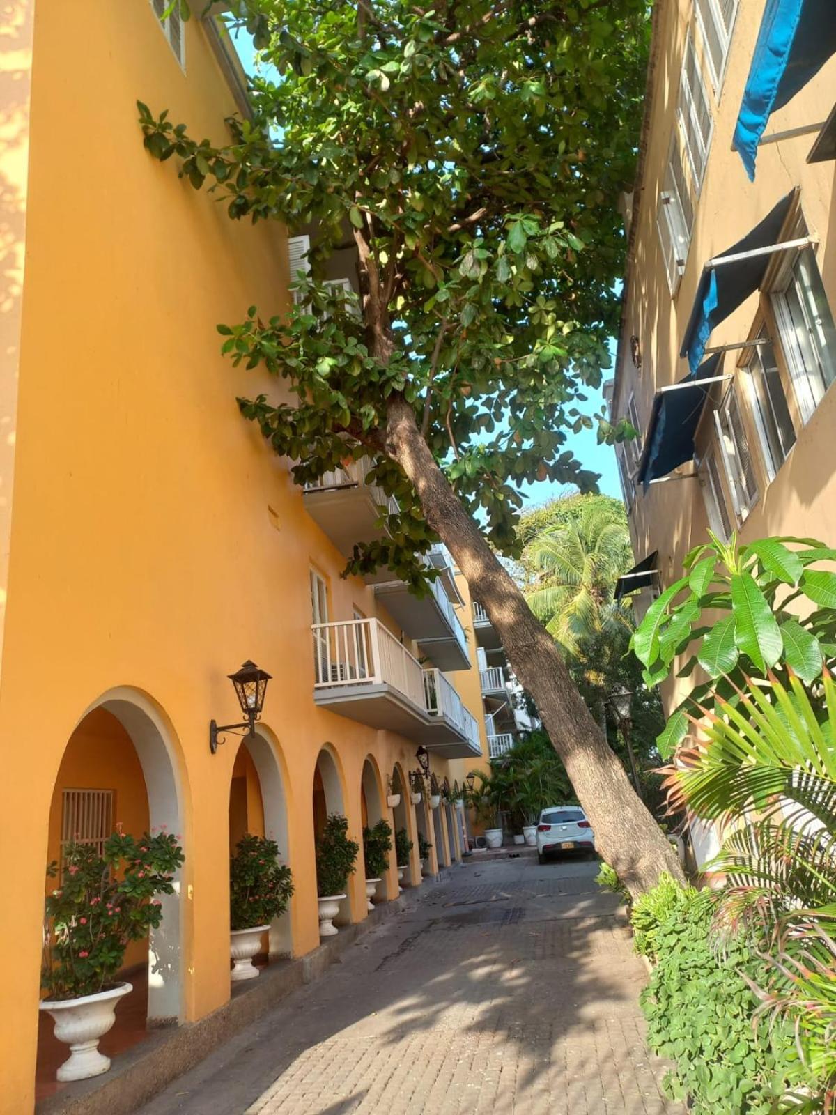 Apartamento centro historico