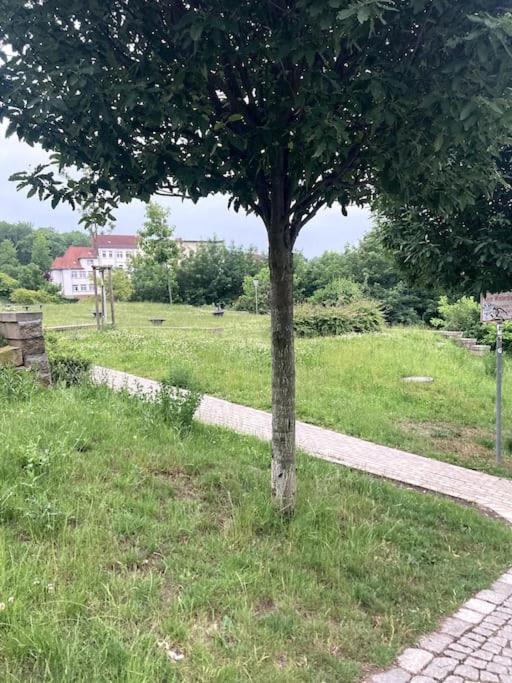 Little Fine Apartment close to Leipzig