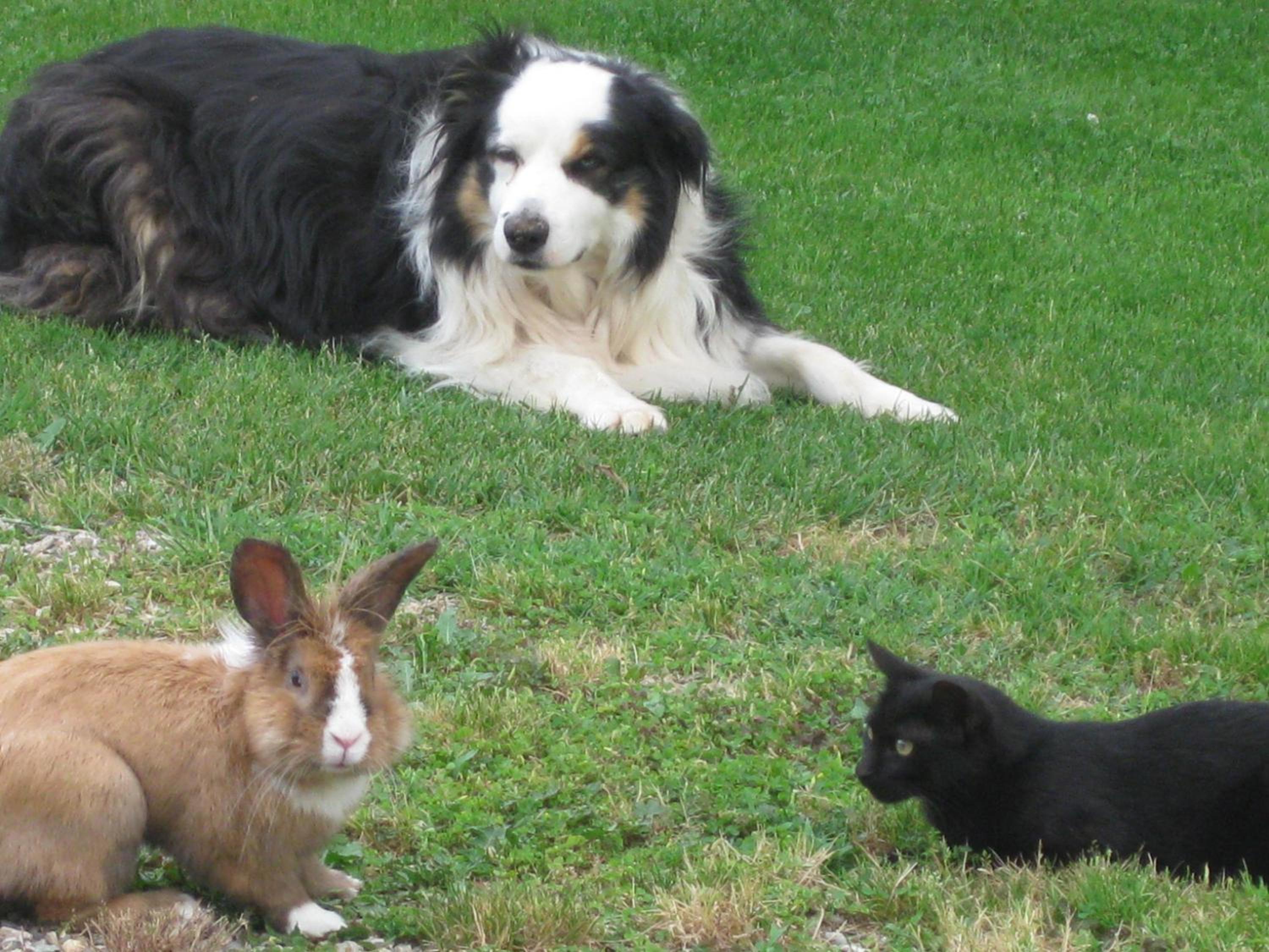 Photo 47