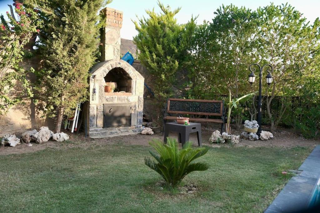 Photo 12