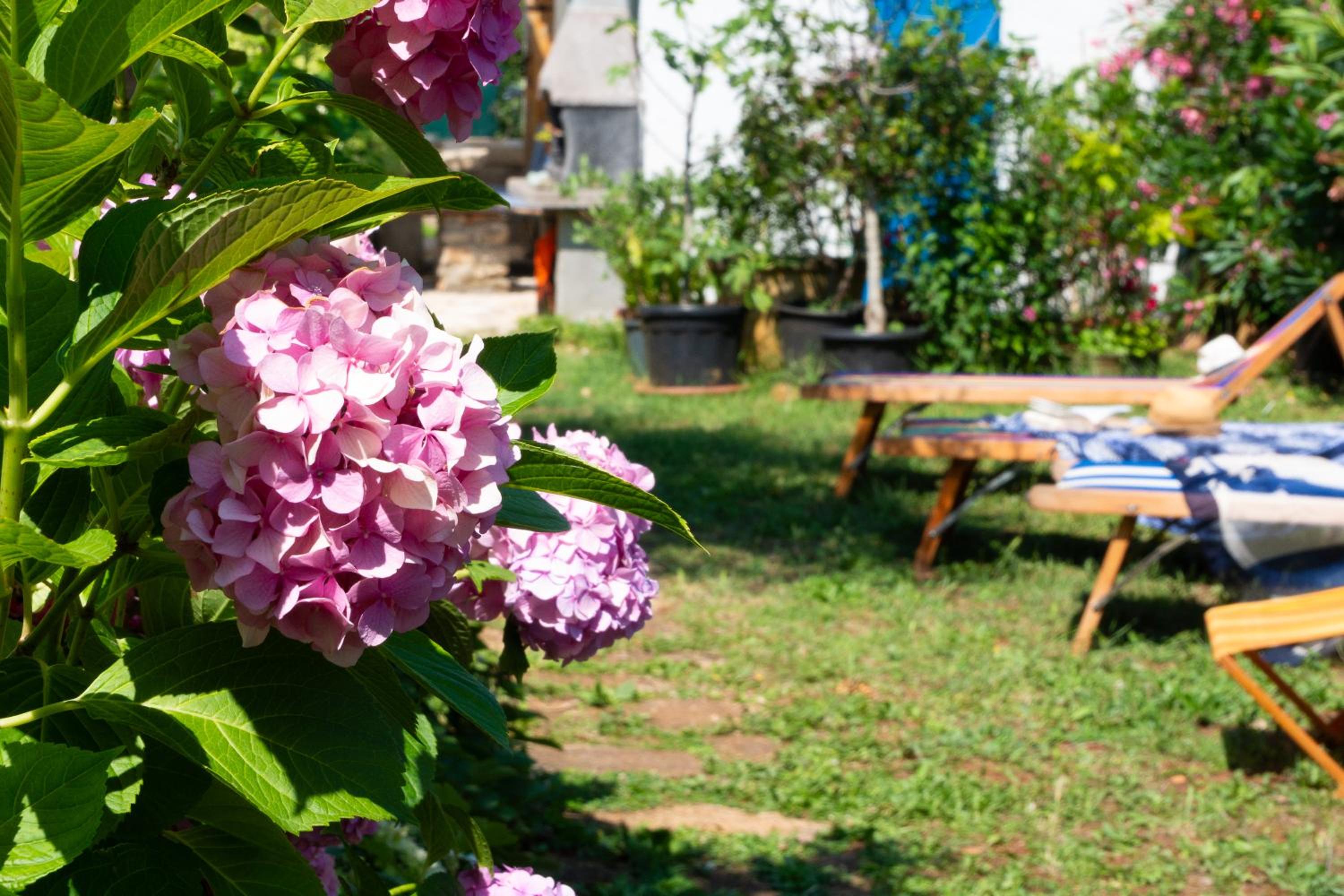 Pri Milanu