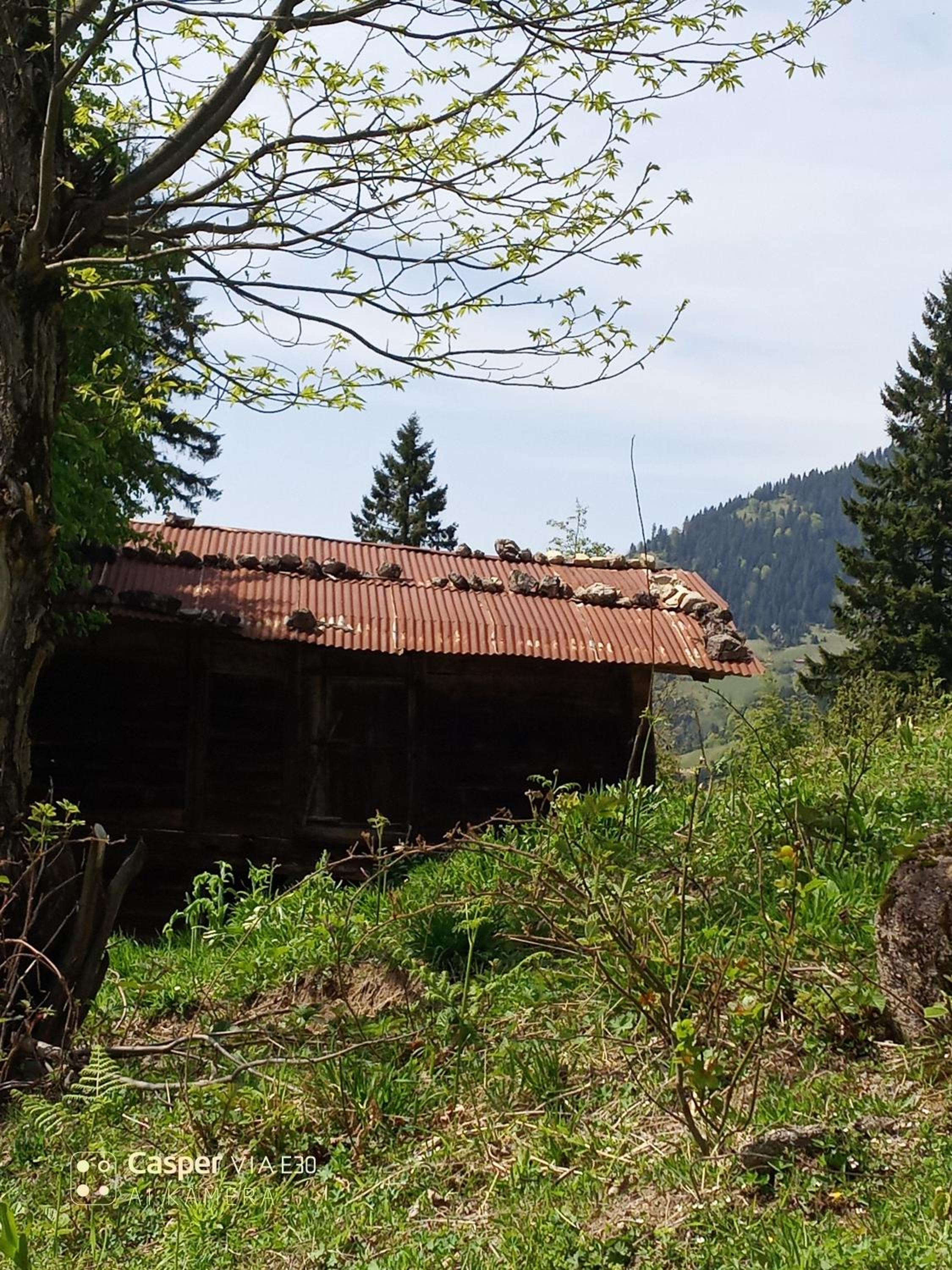 Photo 13
