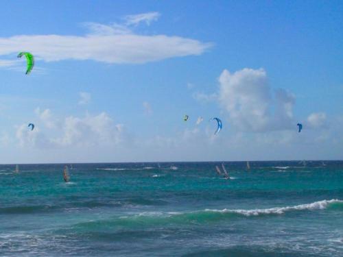 Ocean Bliss Apartments