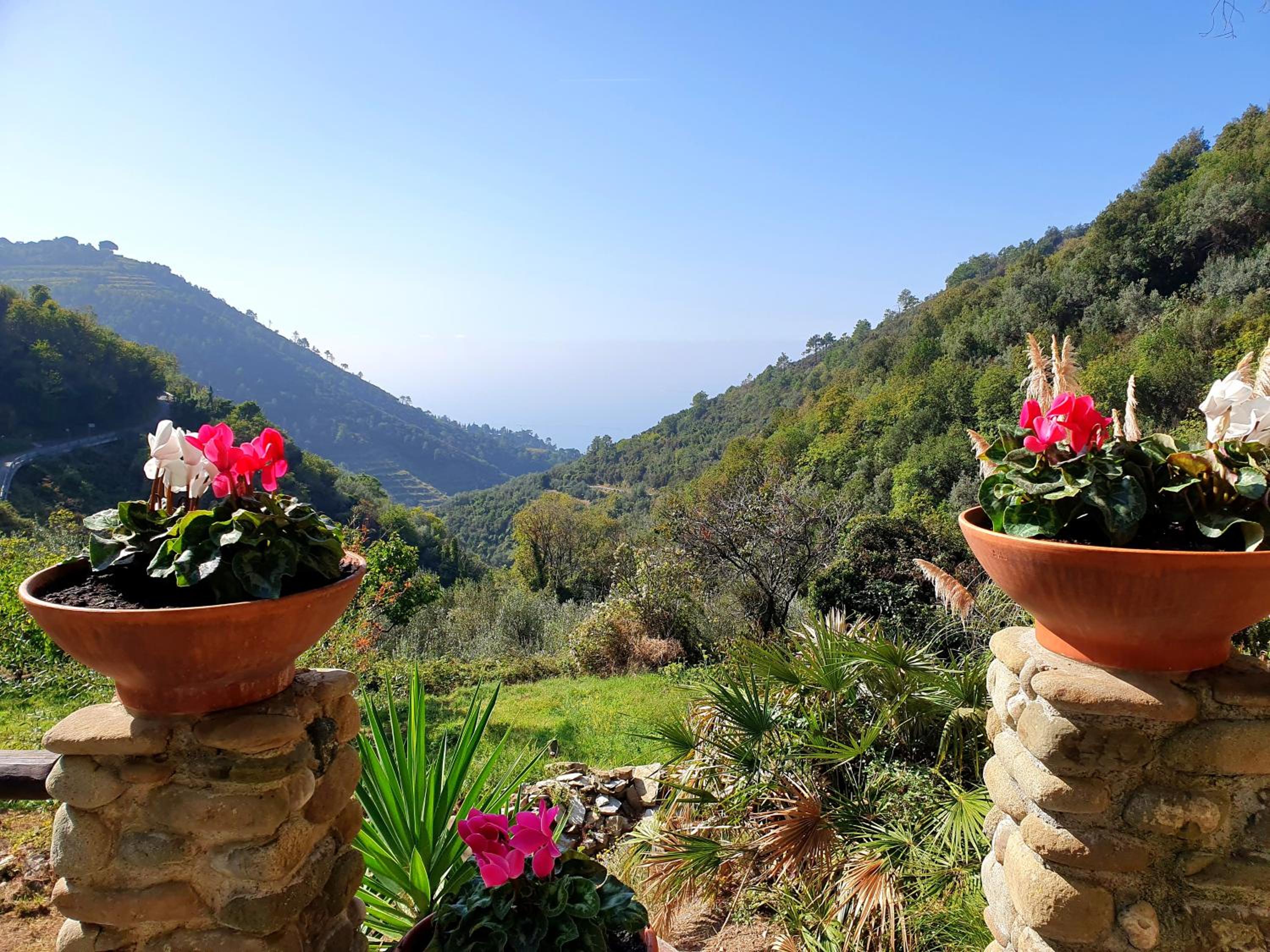 Agriturismo Costa di Campo