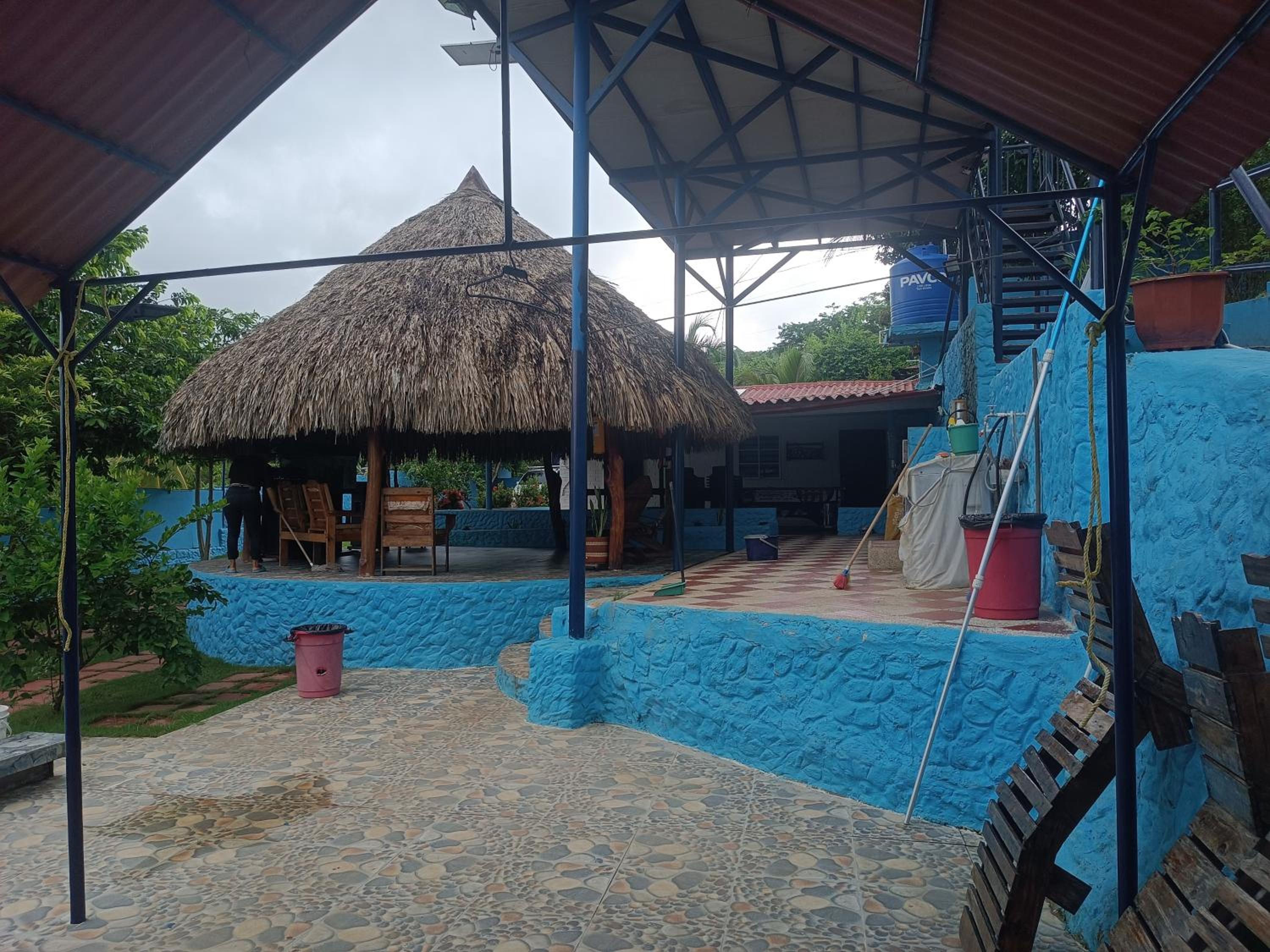 Oasis Blue