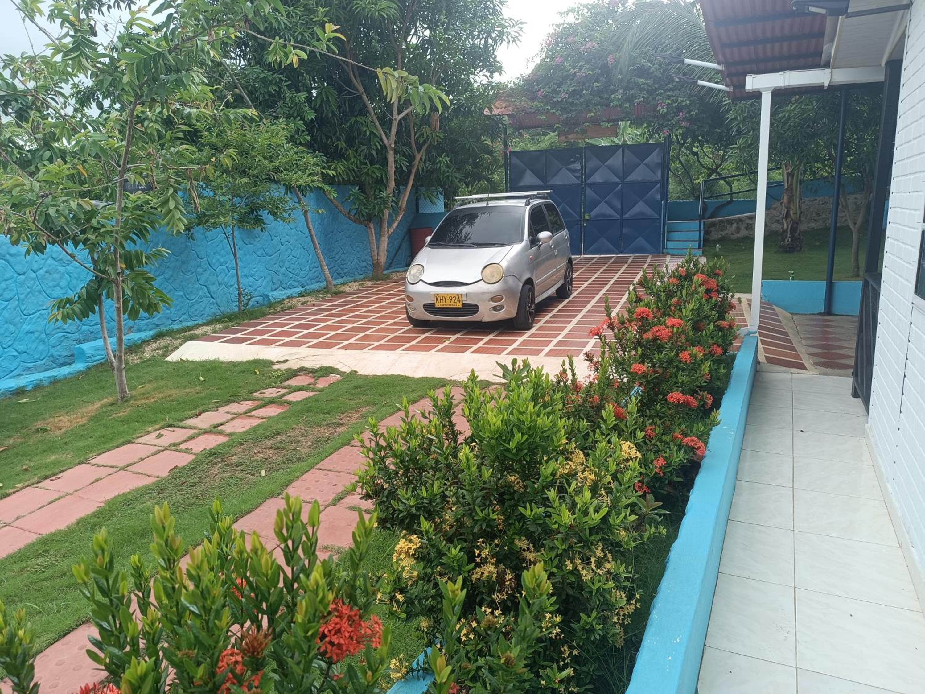 Oasis Blue