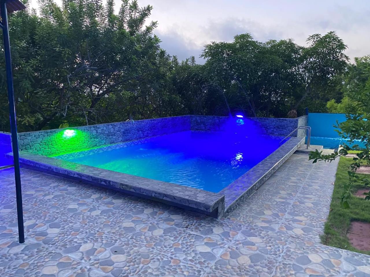 Oasis Blue