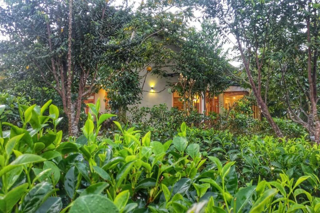Hotel Tea house villa - Image 1