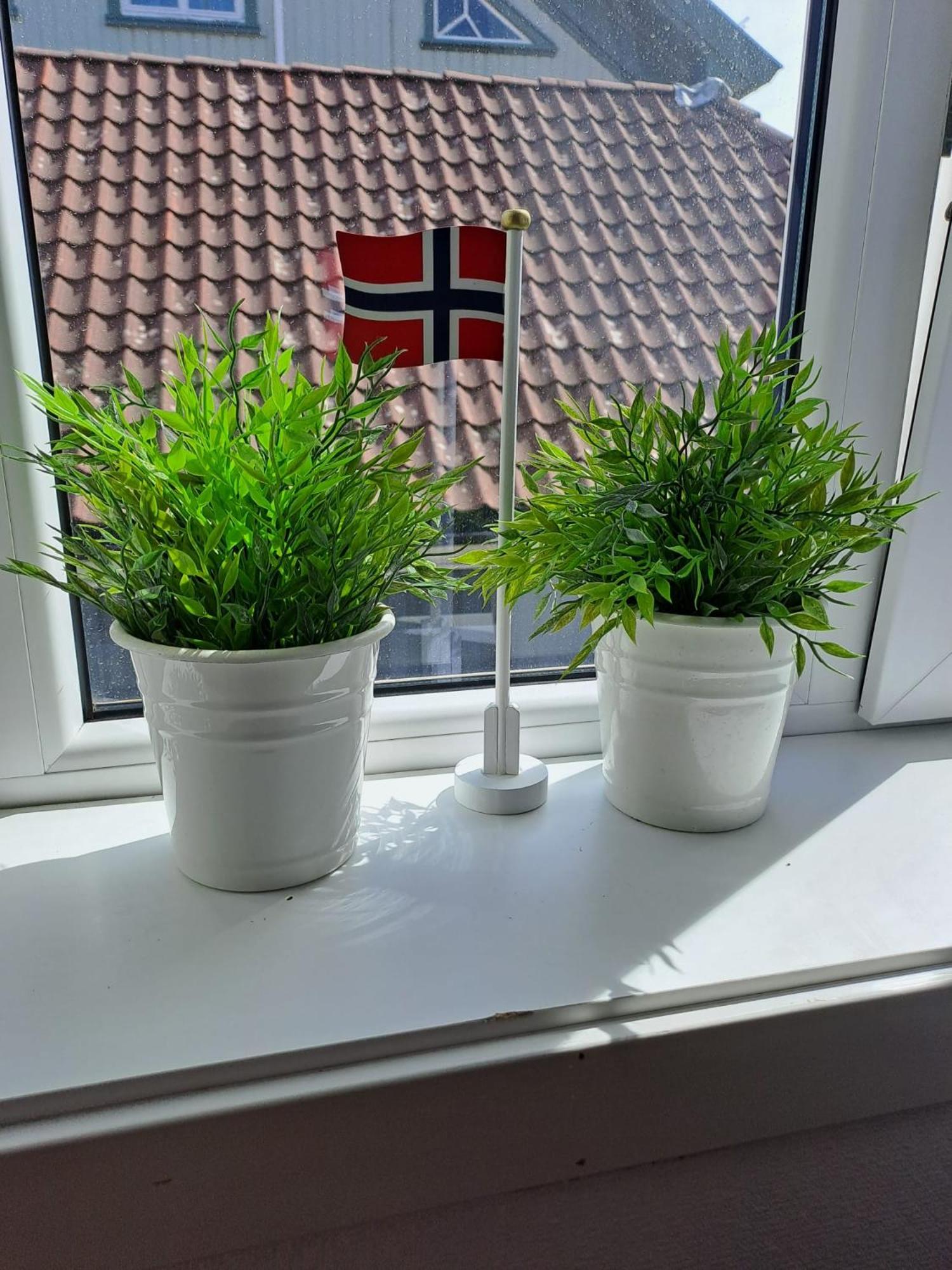Photo 39