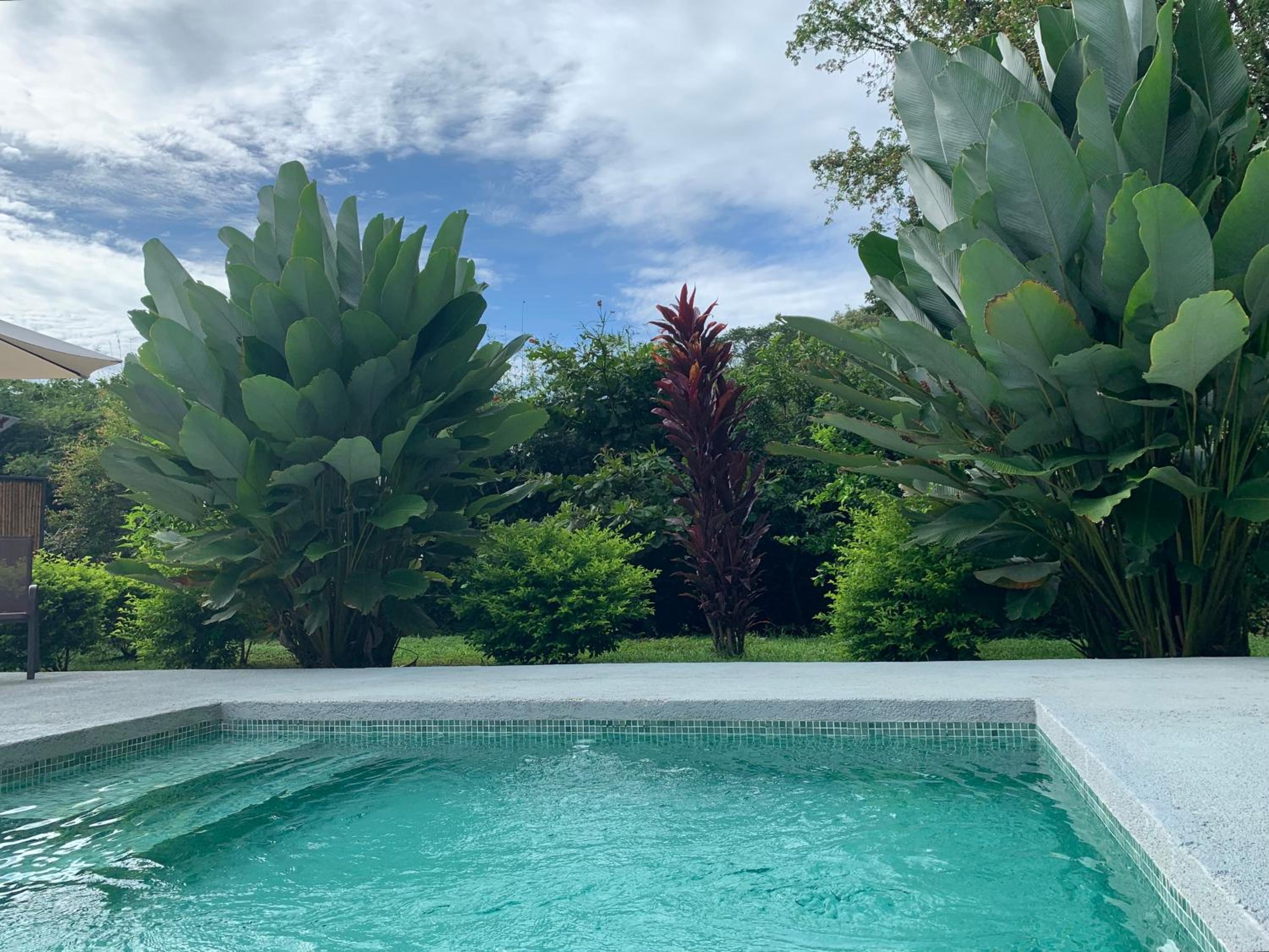 Bambura Bahia Villas