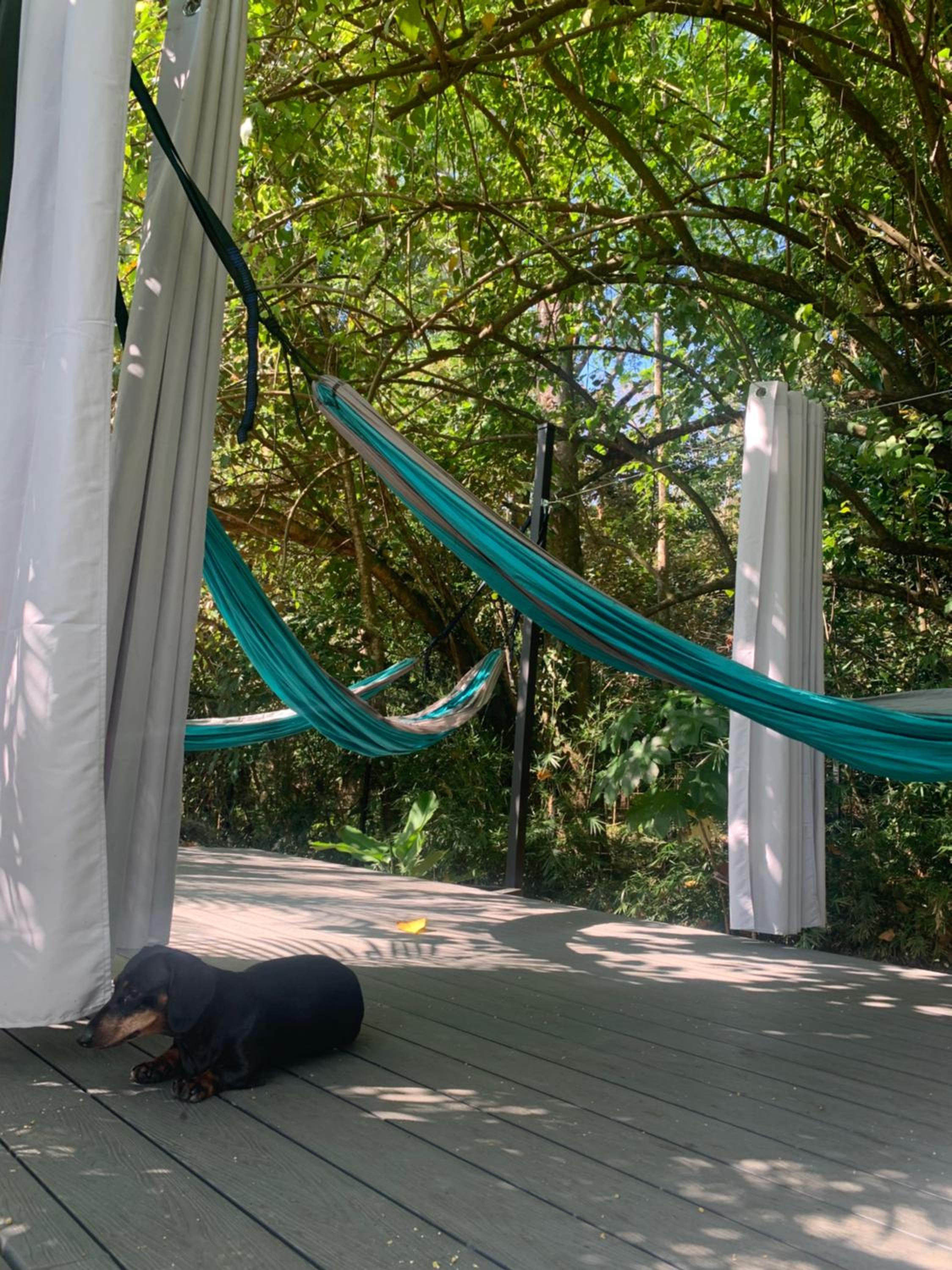 Bambura Bahia Villas