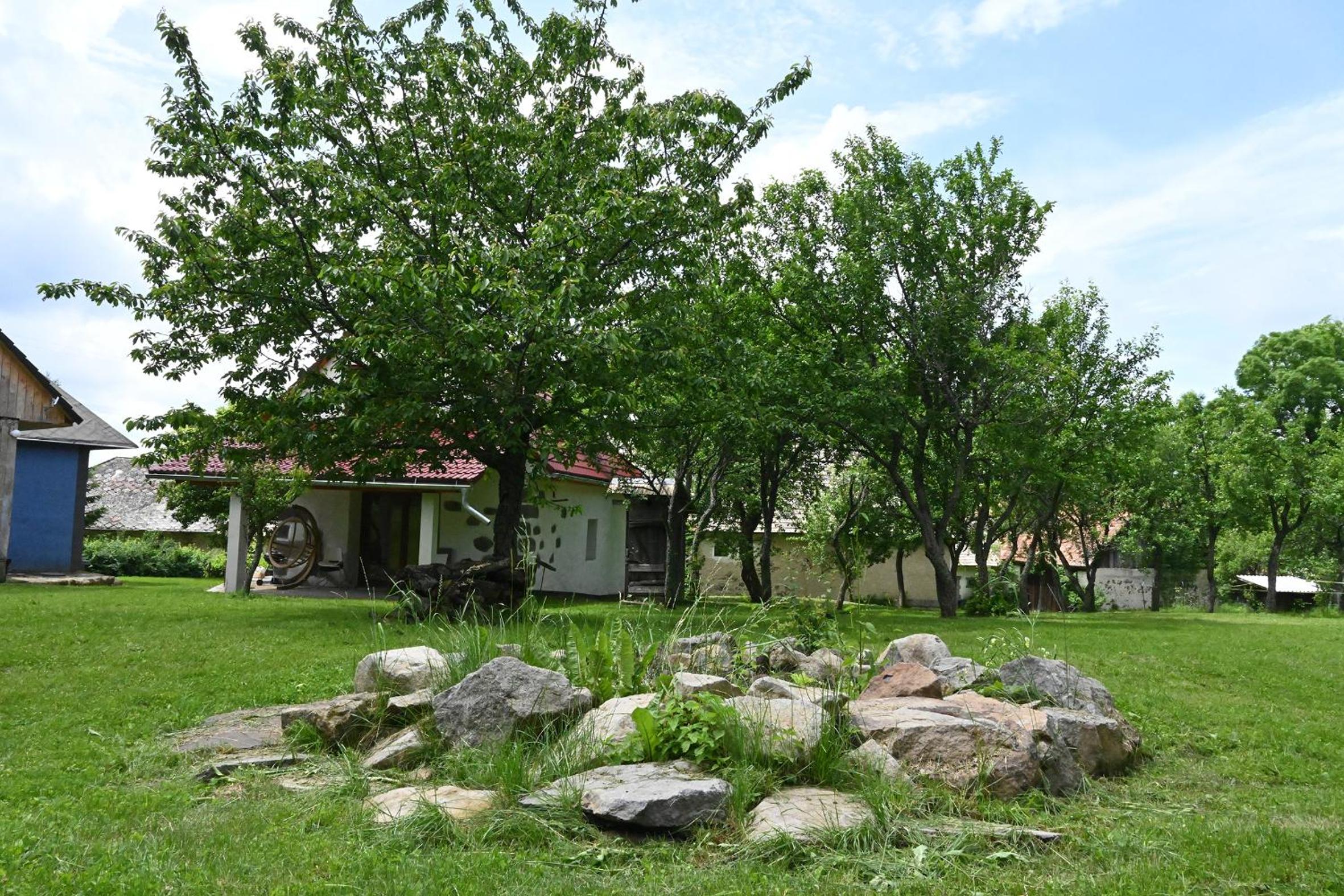 Photo 18