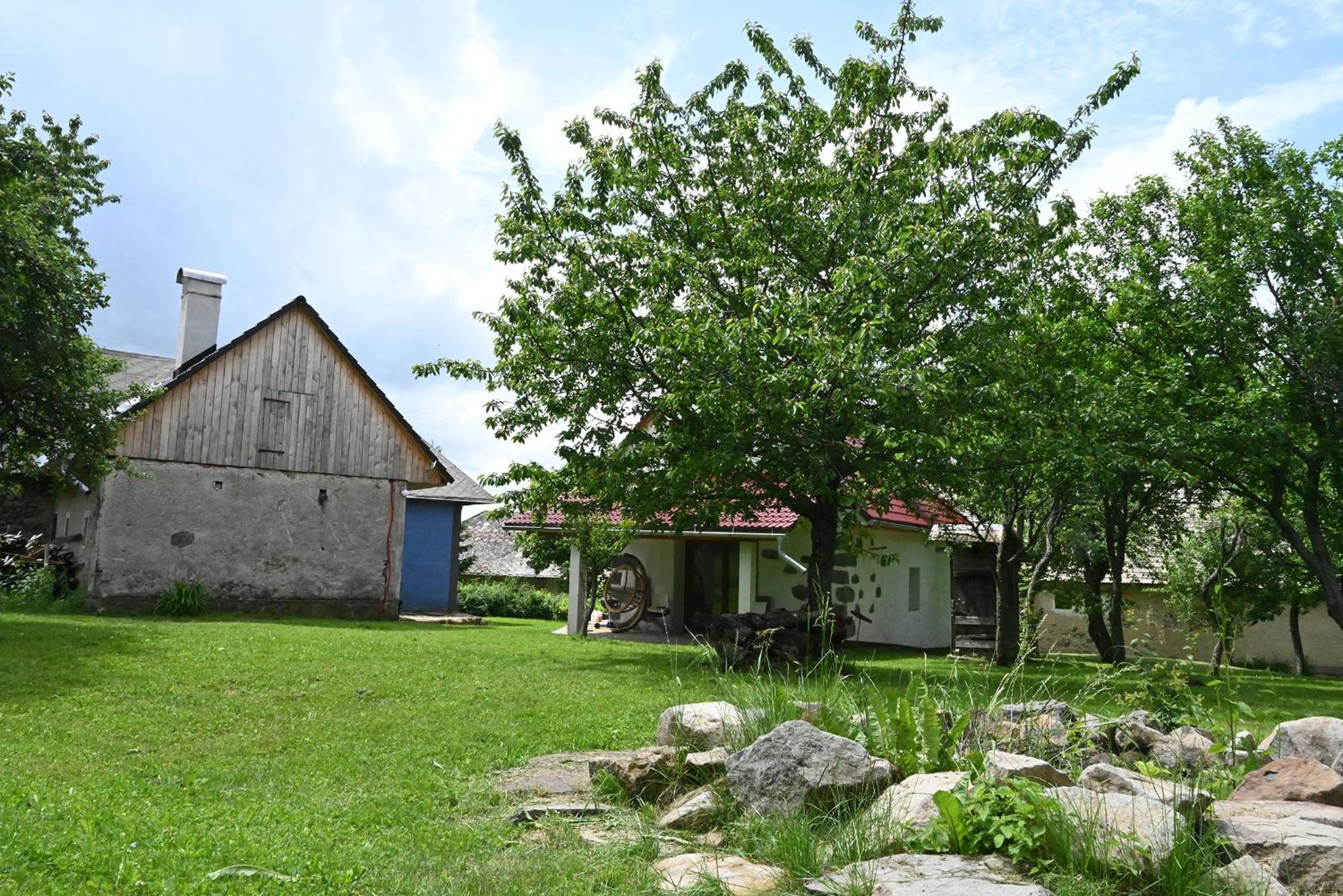 Photo 19