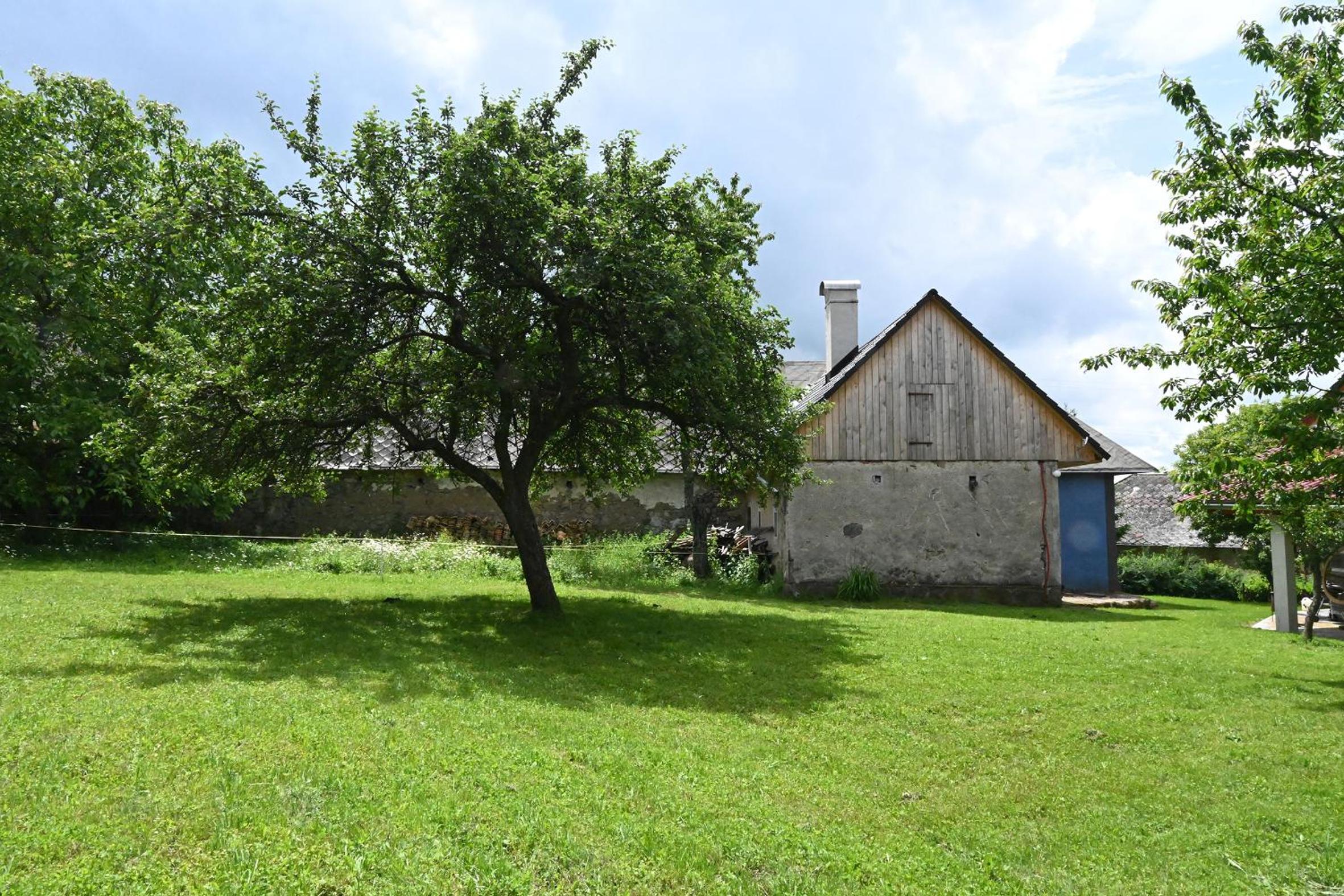 Photo 22