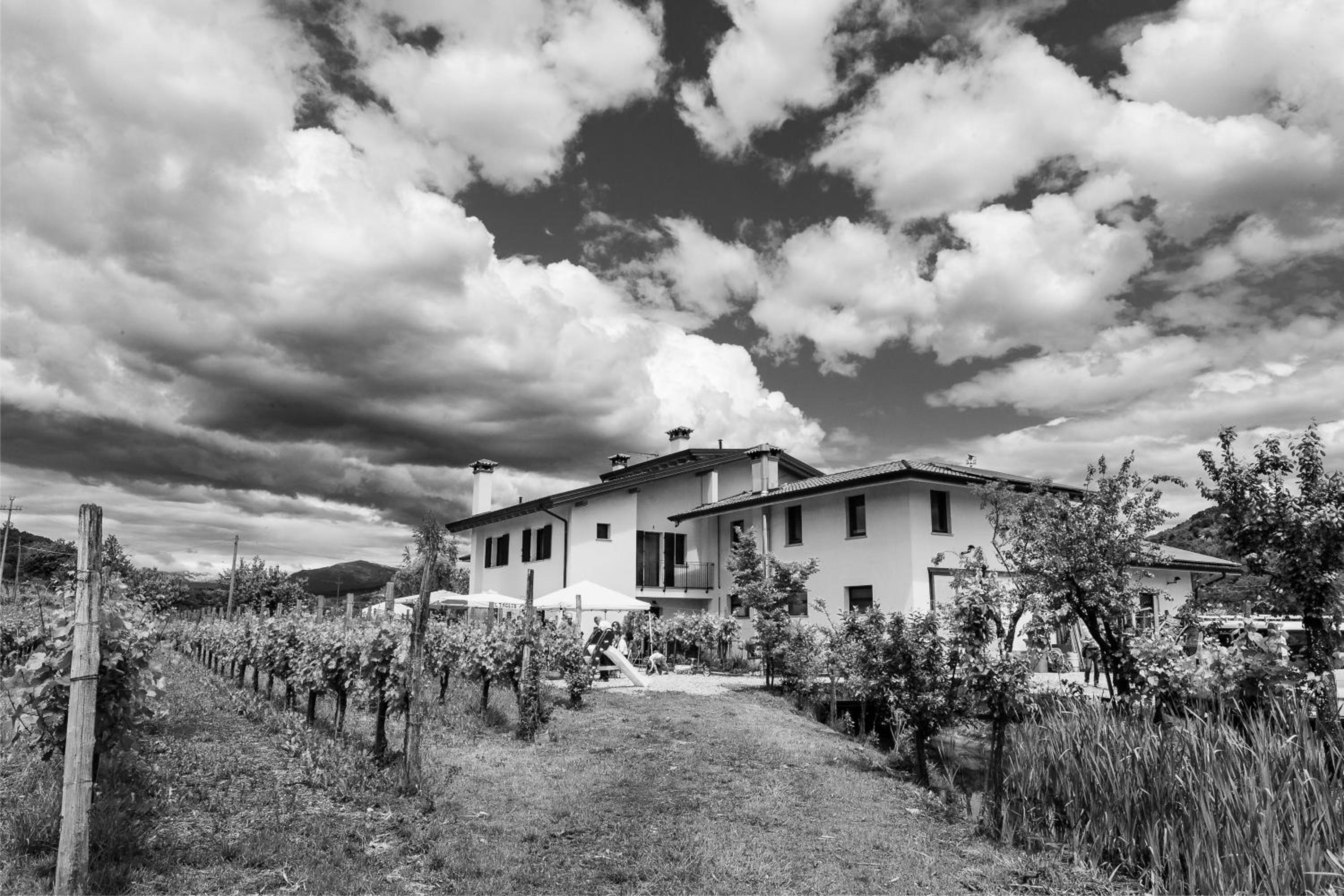 Agriturismo Scribano